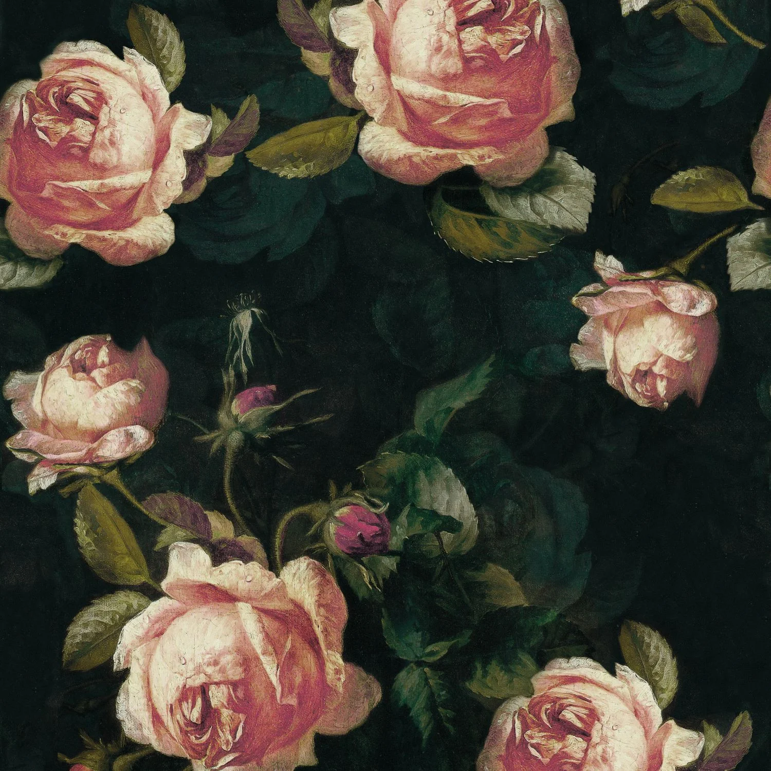 ENGLISH ROSES Casadeco, BEAUTY FULL IMAGE