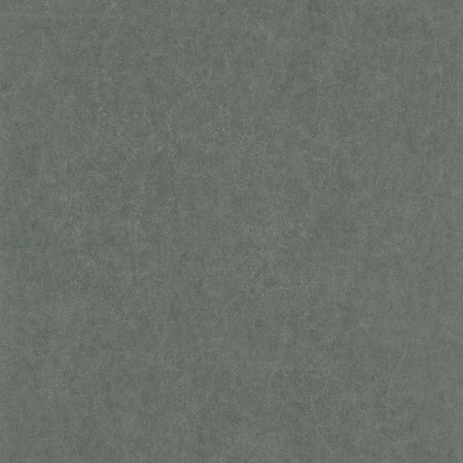 OXFORD LEWIS Casadeco, SO WHITE 4