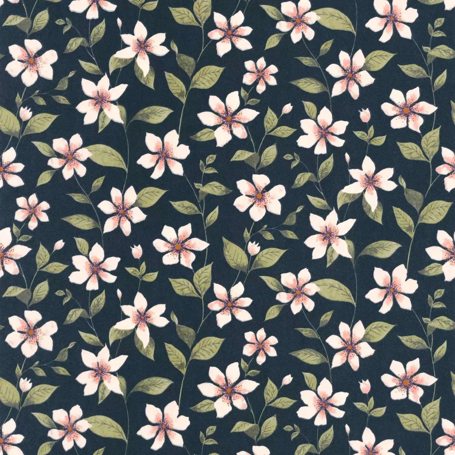 CLEMATITES — изображение товара 2