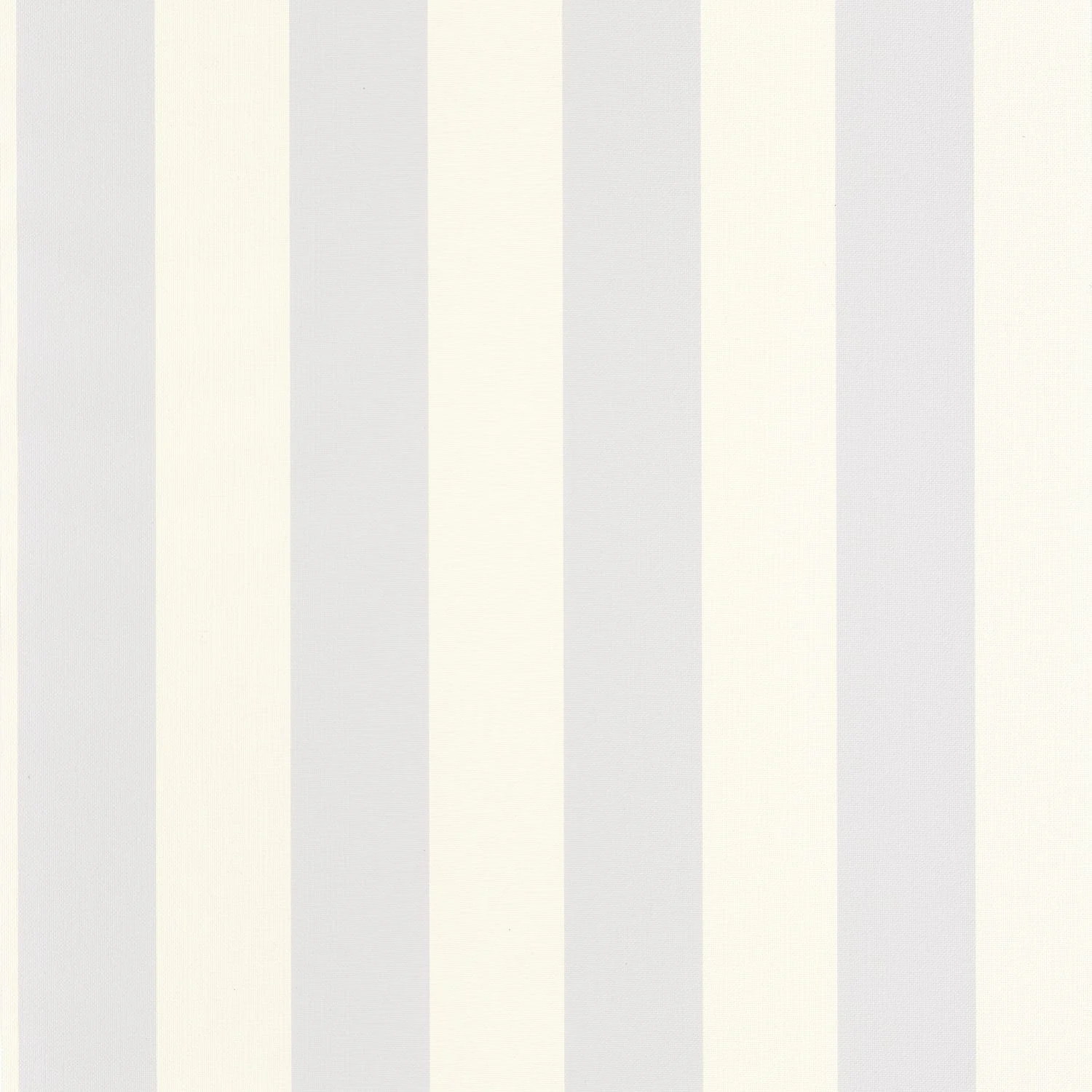 BALTIC RAYURE — изображение товара 2