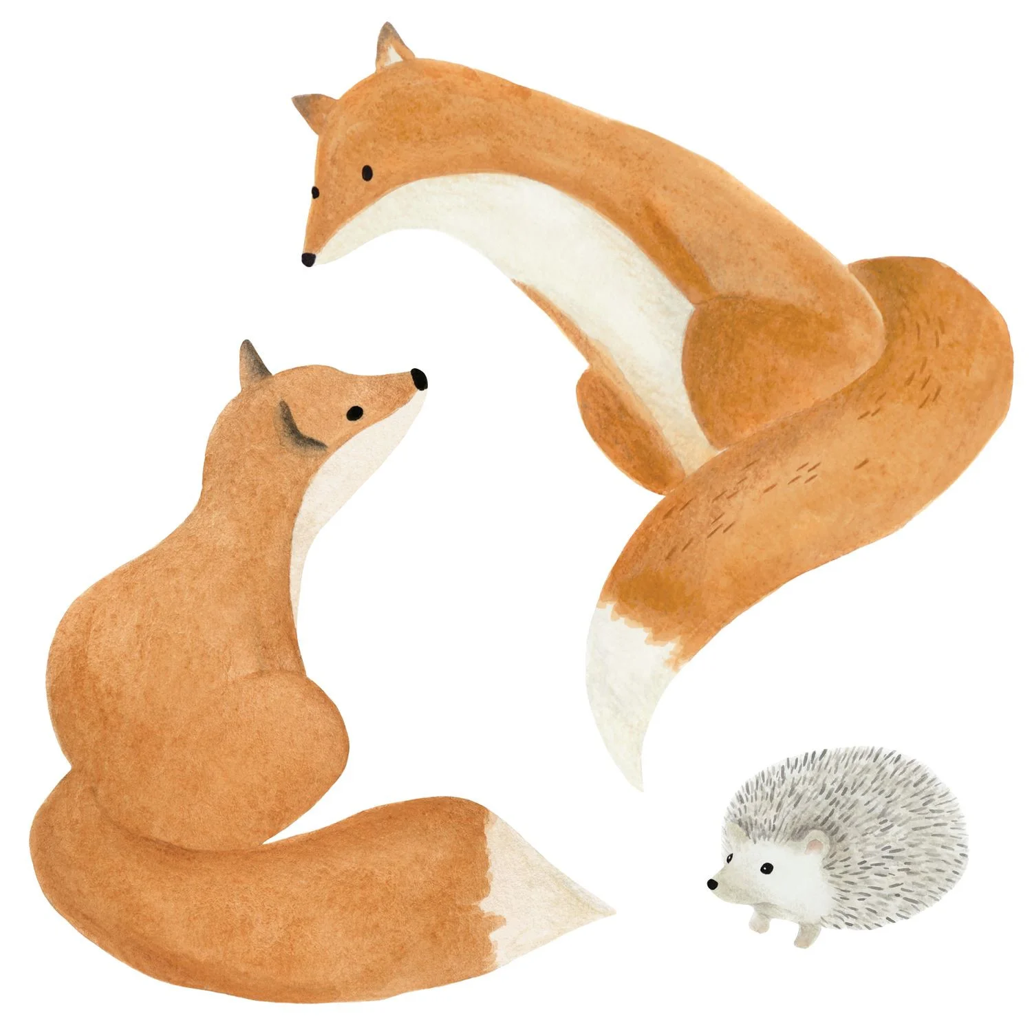 DECOR PRE-ENCOLLE FOX Casadeco, ONCE UPON A TIME