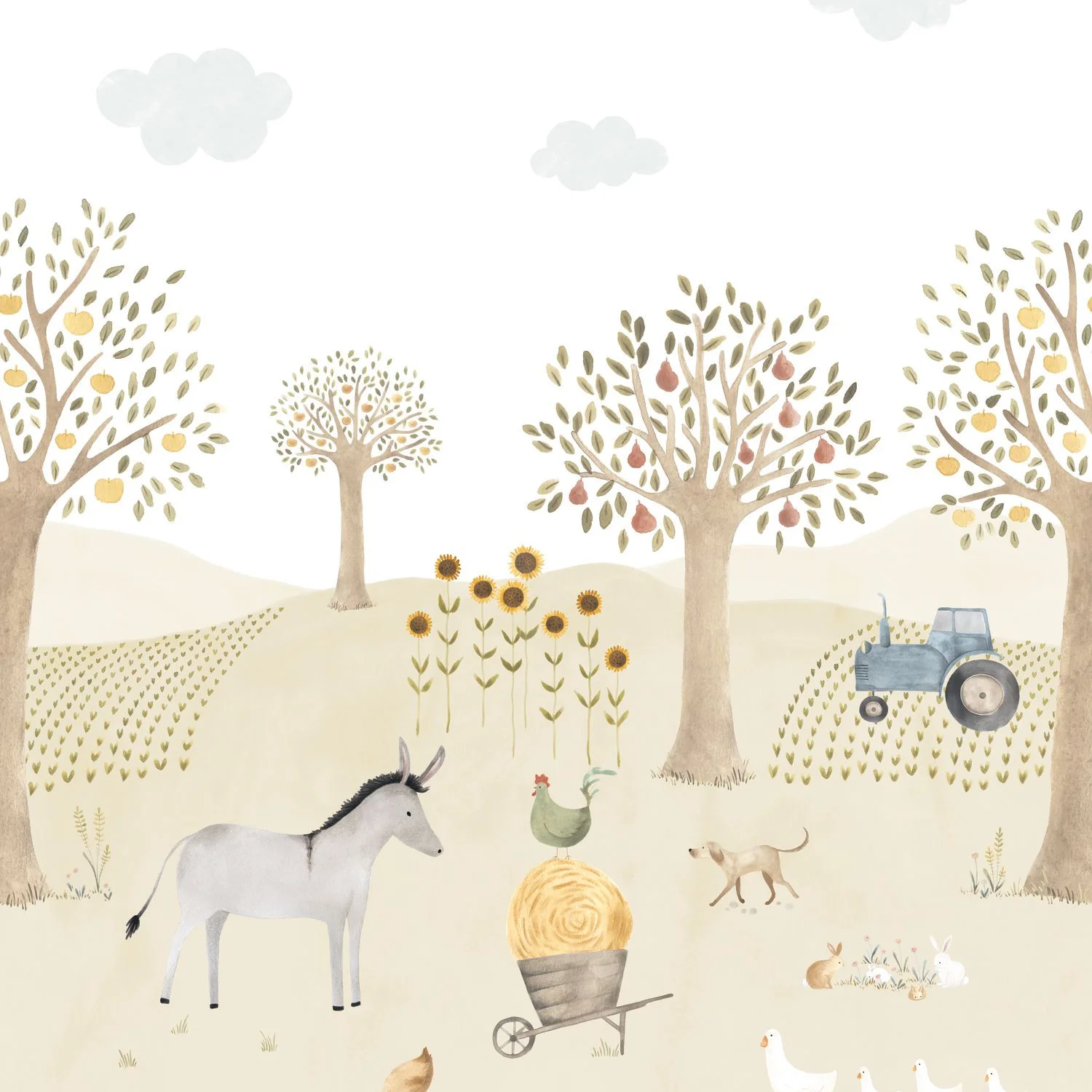 THE FARM ADVENTURES WITH DONKEY Casadeco, ONCE UPON A TIME