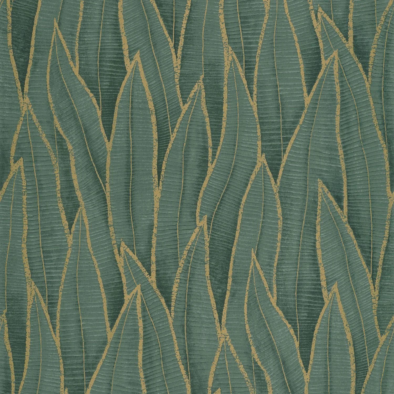SANSEVIERIA — изображение товара 3
