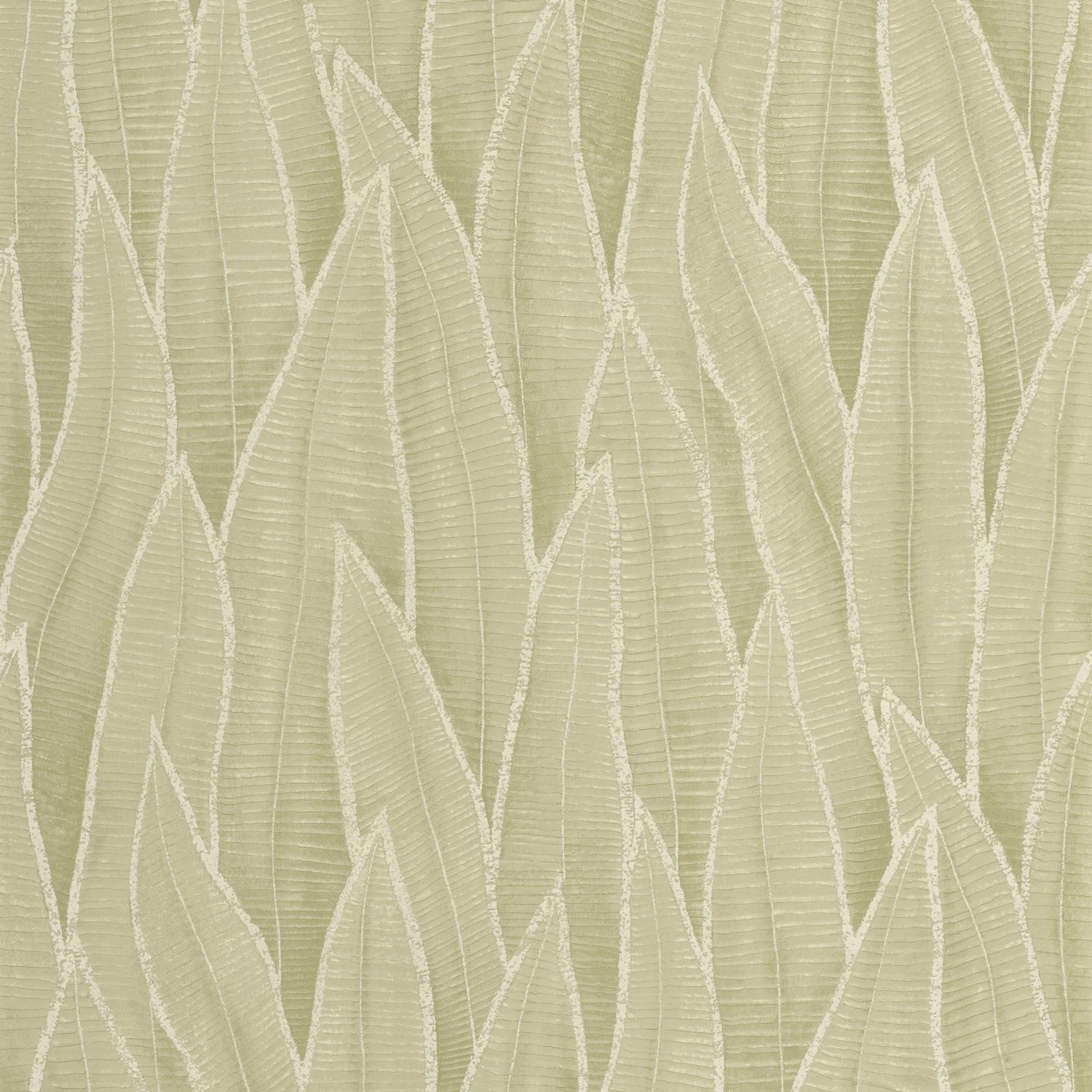 SANSEVIERIA — изображение товара 5