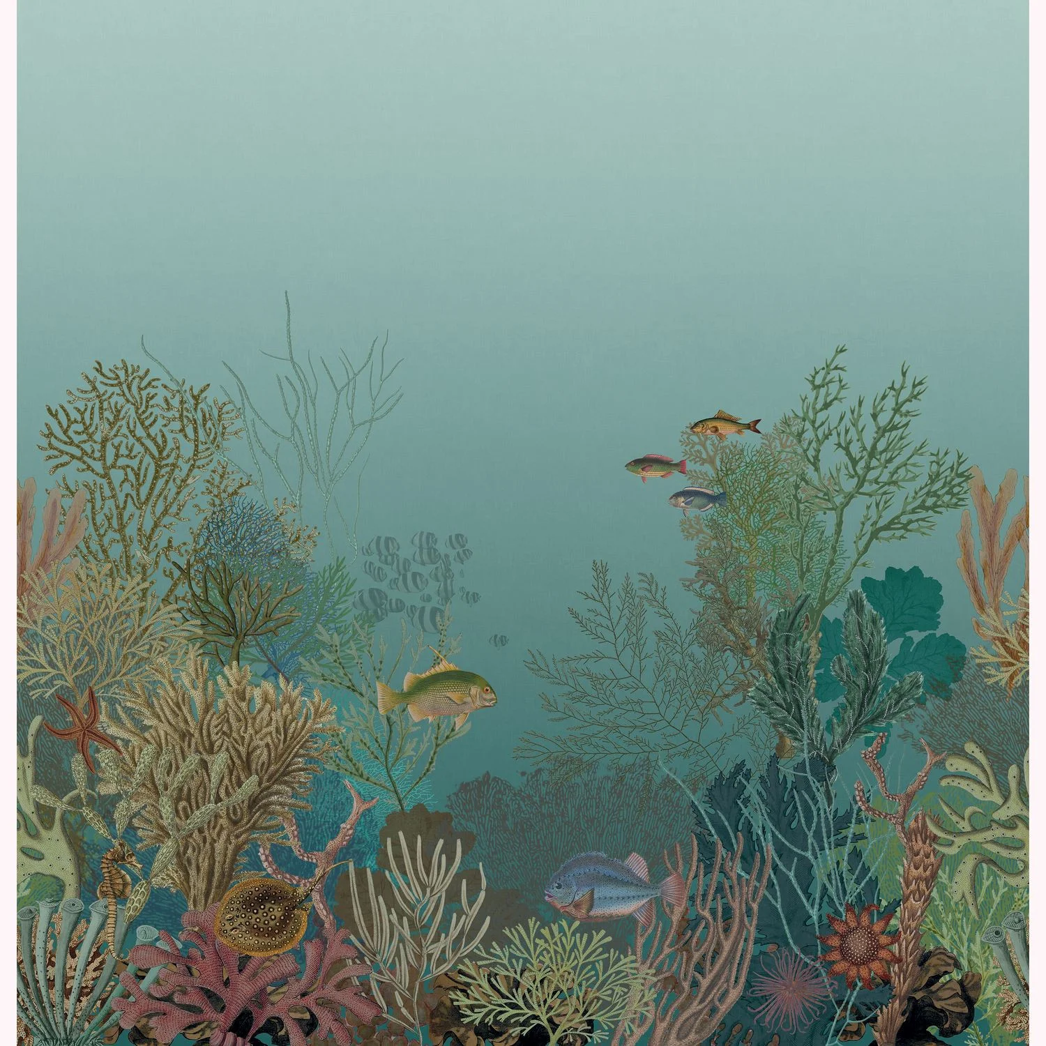 AQUARIUM Casadeco, SEASIDE