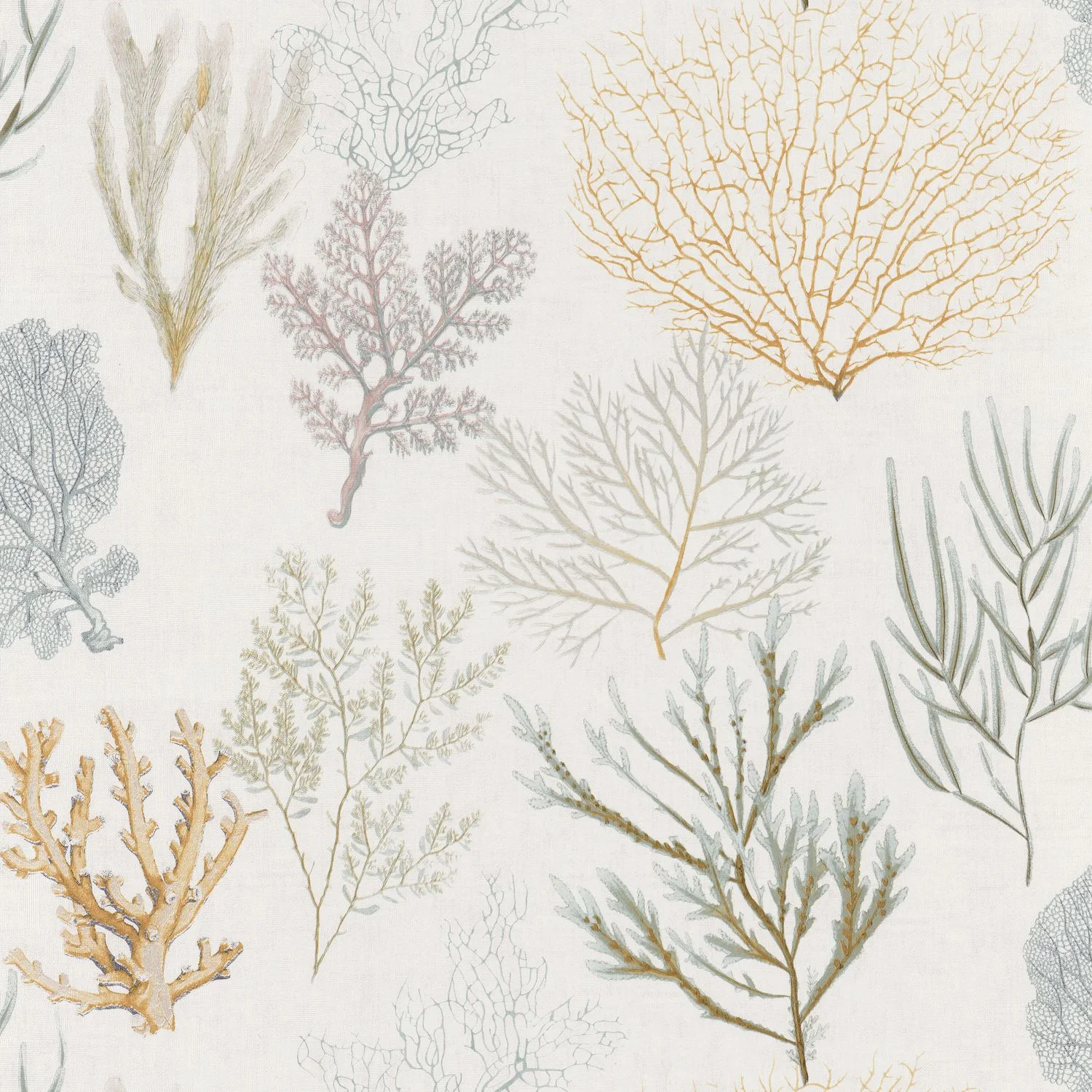 CORAIL Casadeco, SO WHITE 4