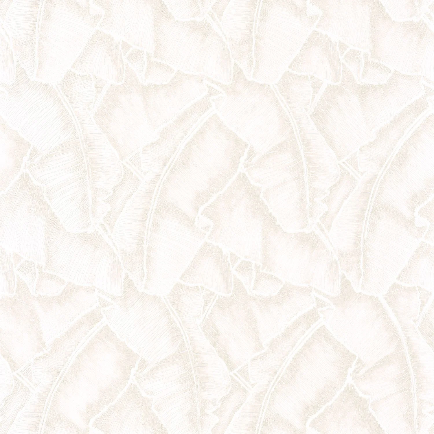CUBA SELVA Casadeco, SO WHITE 4