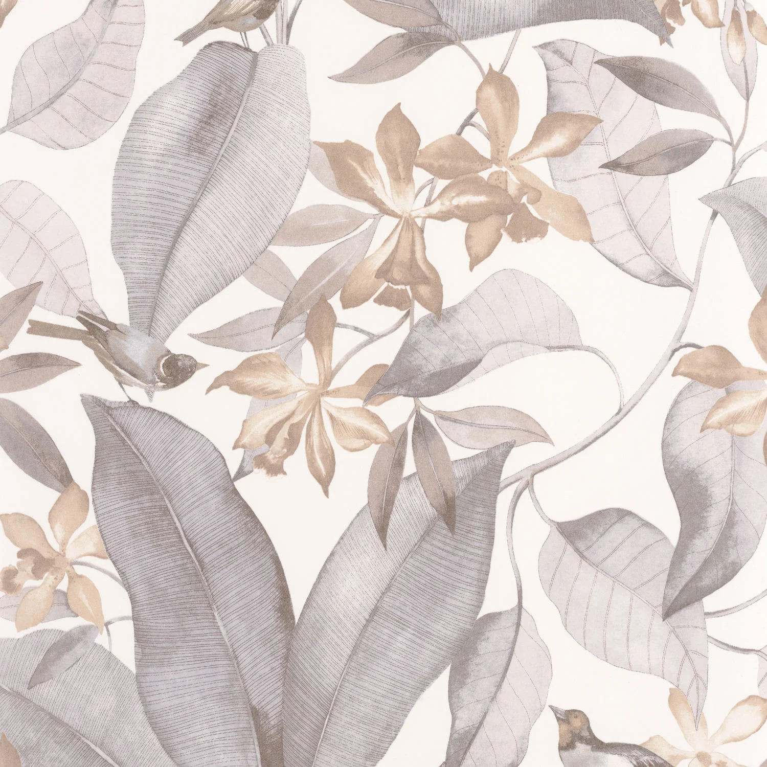 DELICACY BIRDSONG Casadeco, SO WHITE 4