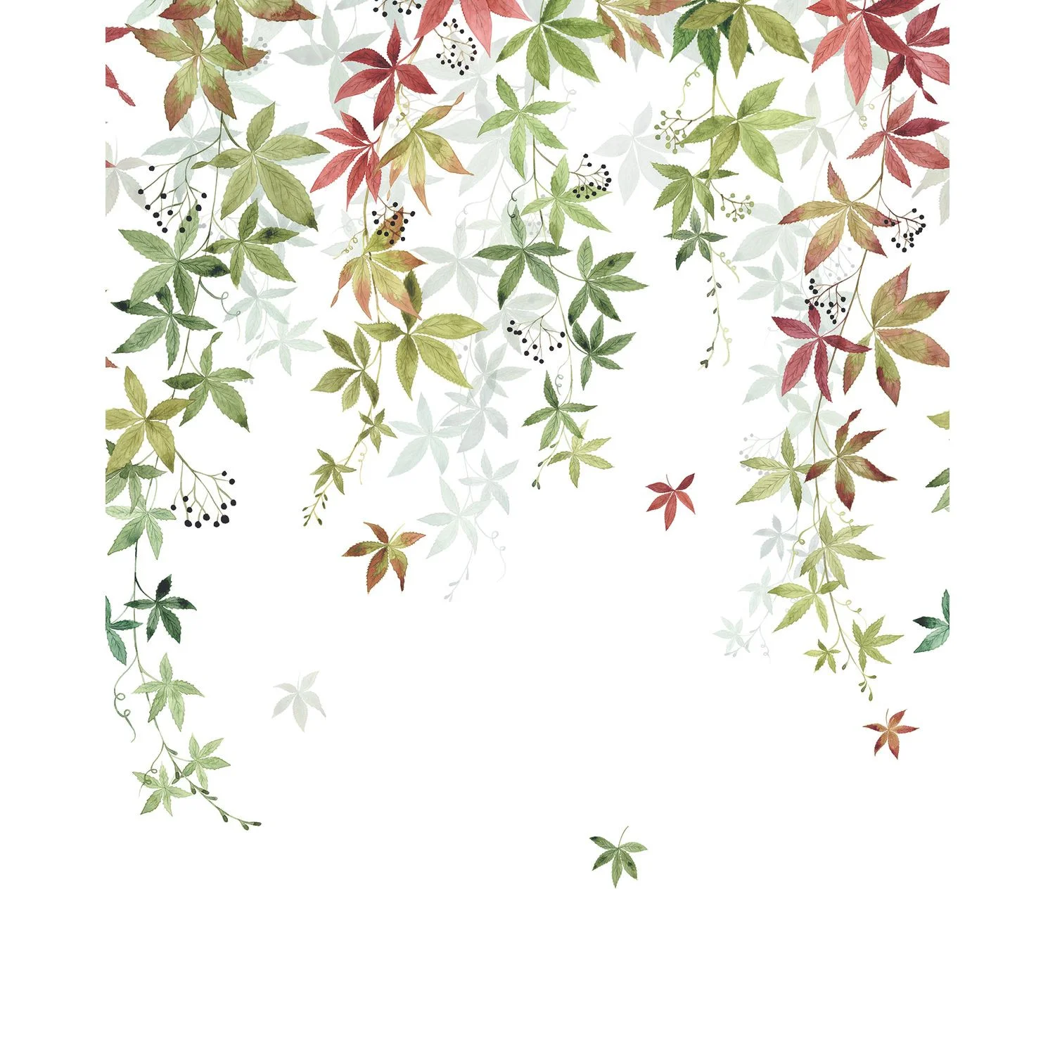 VIGNE EN FLEUR Casadeco, WONDERWALLS 2