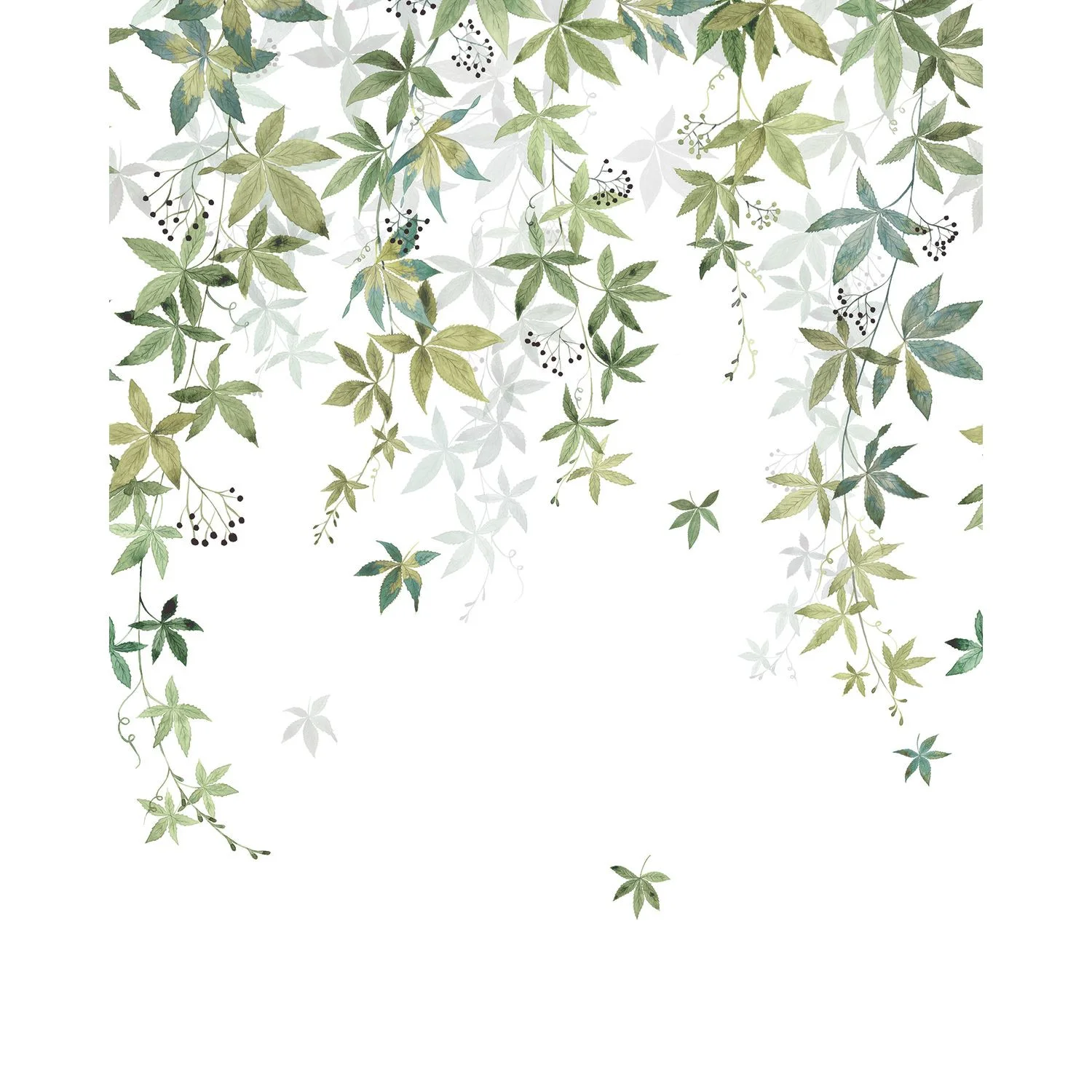 VIGNE EN FLEUR — изображение товара 2