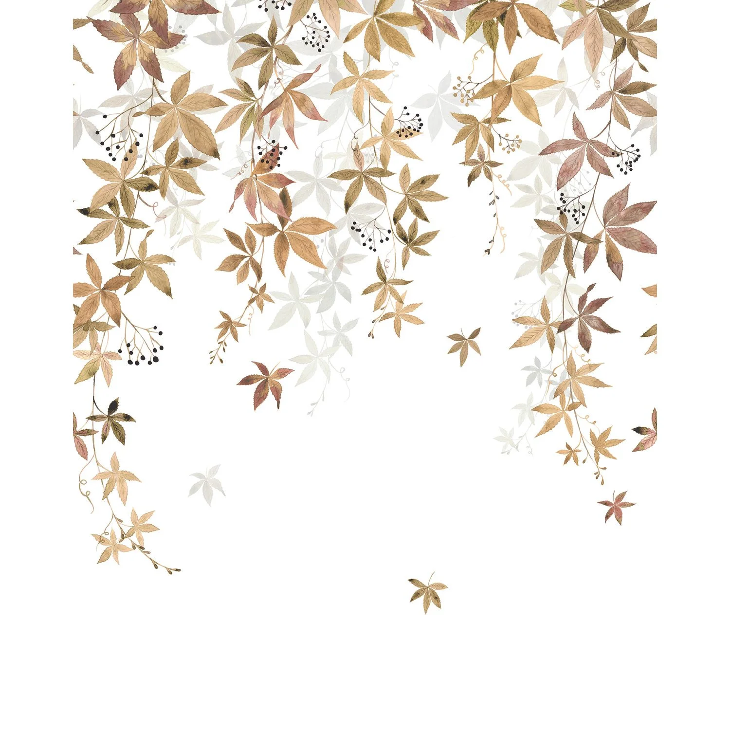 VIGNE EN FLEUR — изображение товара 3