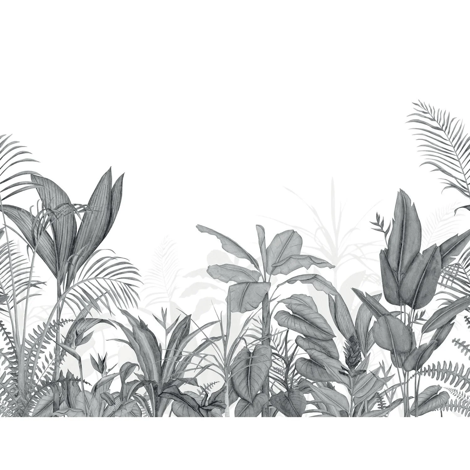EDEN TROPICAL VINYLE Casadeco, WONDERWALLS 3