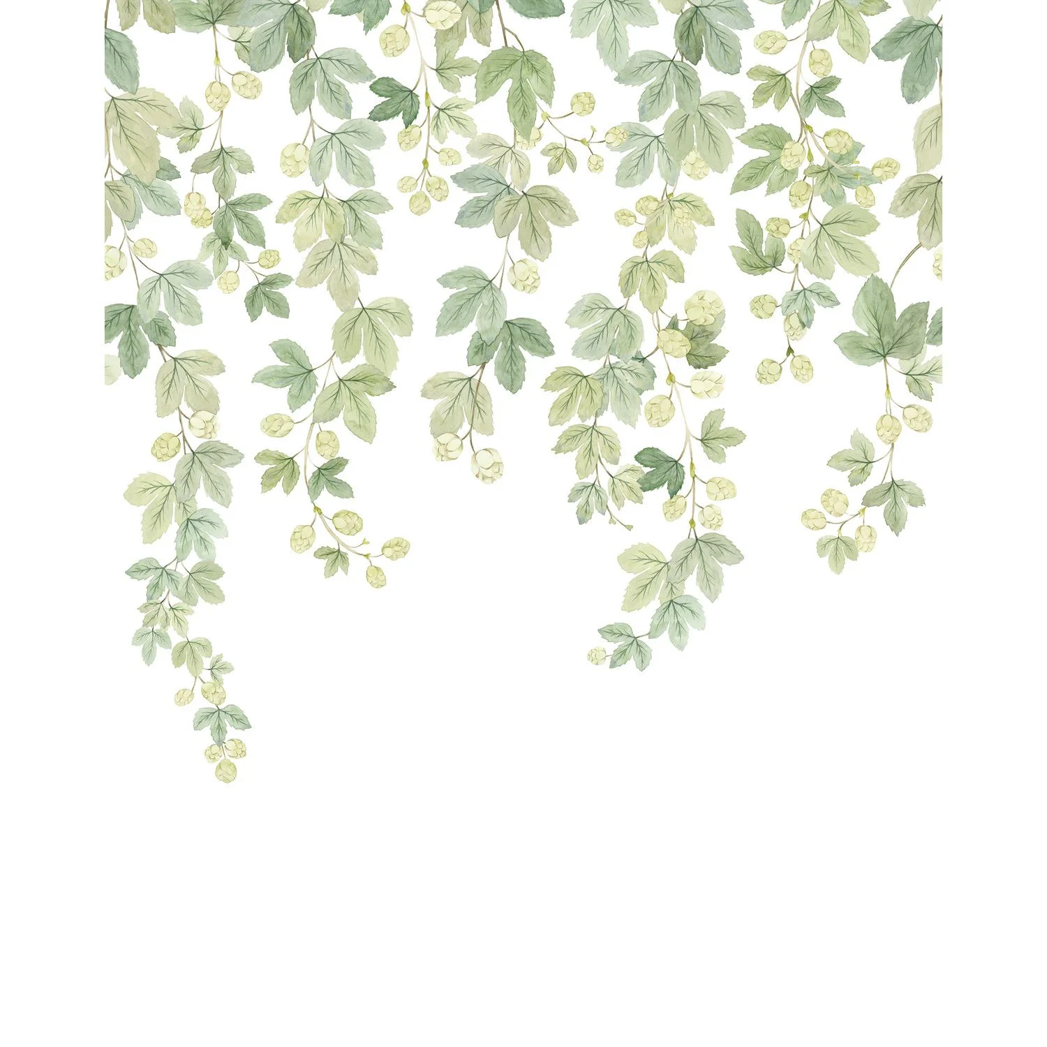 FRUIT DU HOUBLON INTISSE Casadeco, WONDERWALLS 3