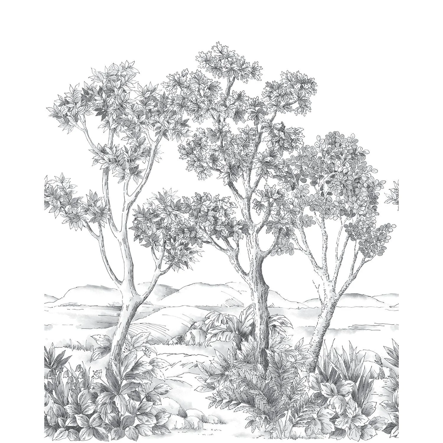 TERRE D'ACACIAS INTISSE Casadeco, WONDERWALLS 3
