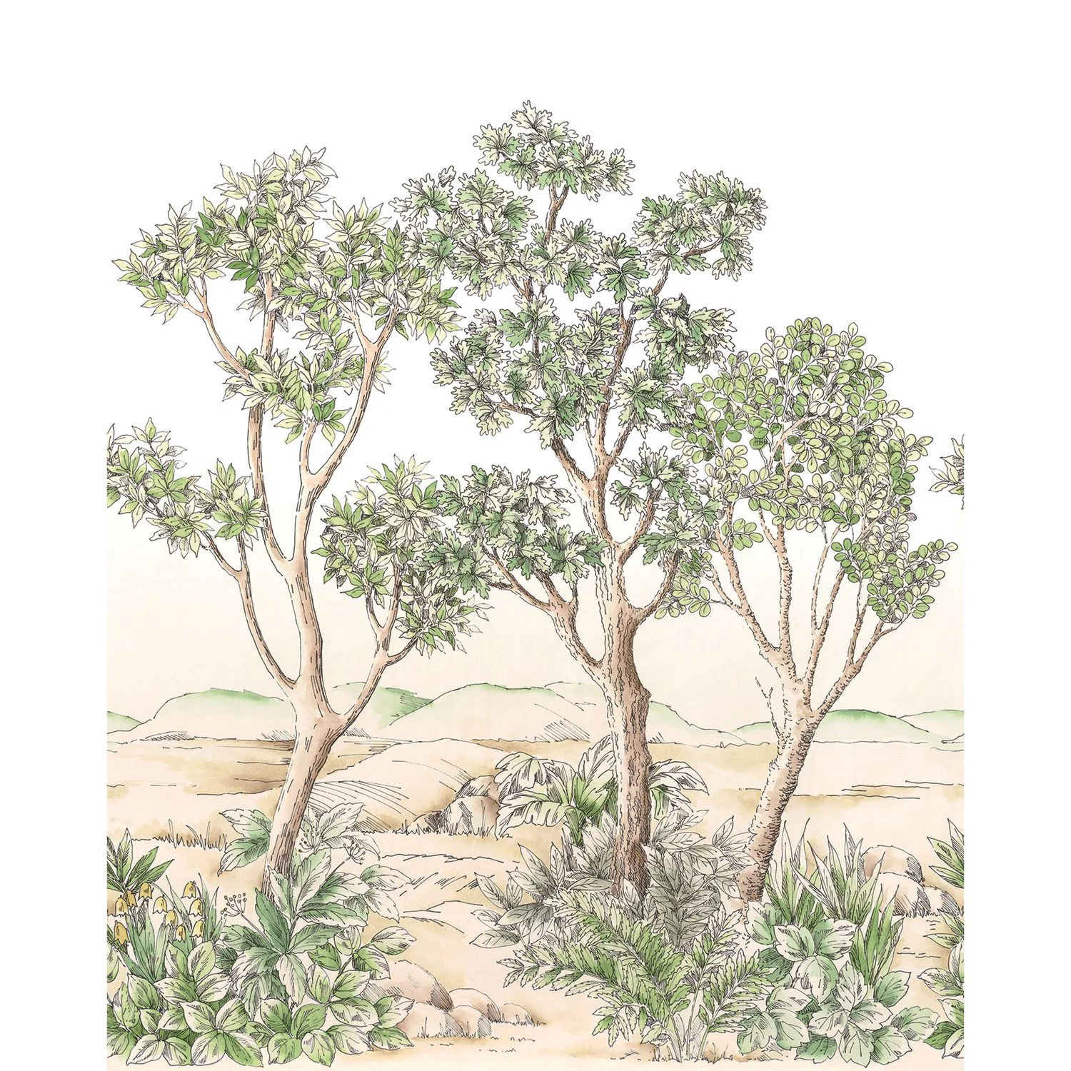 TERRE D'ACACIAS VINYLE — изображение товара 2
