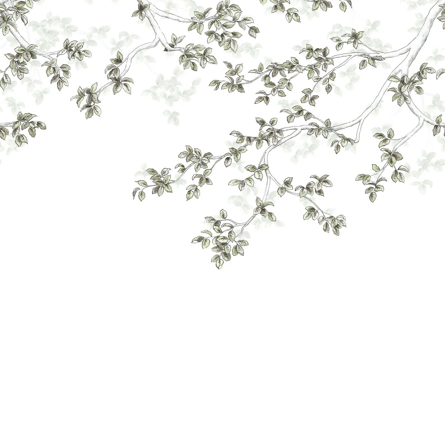 CALMING LEAVES Casadeco, WONDERWALLS