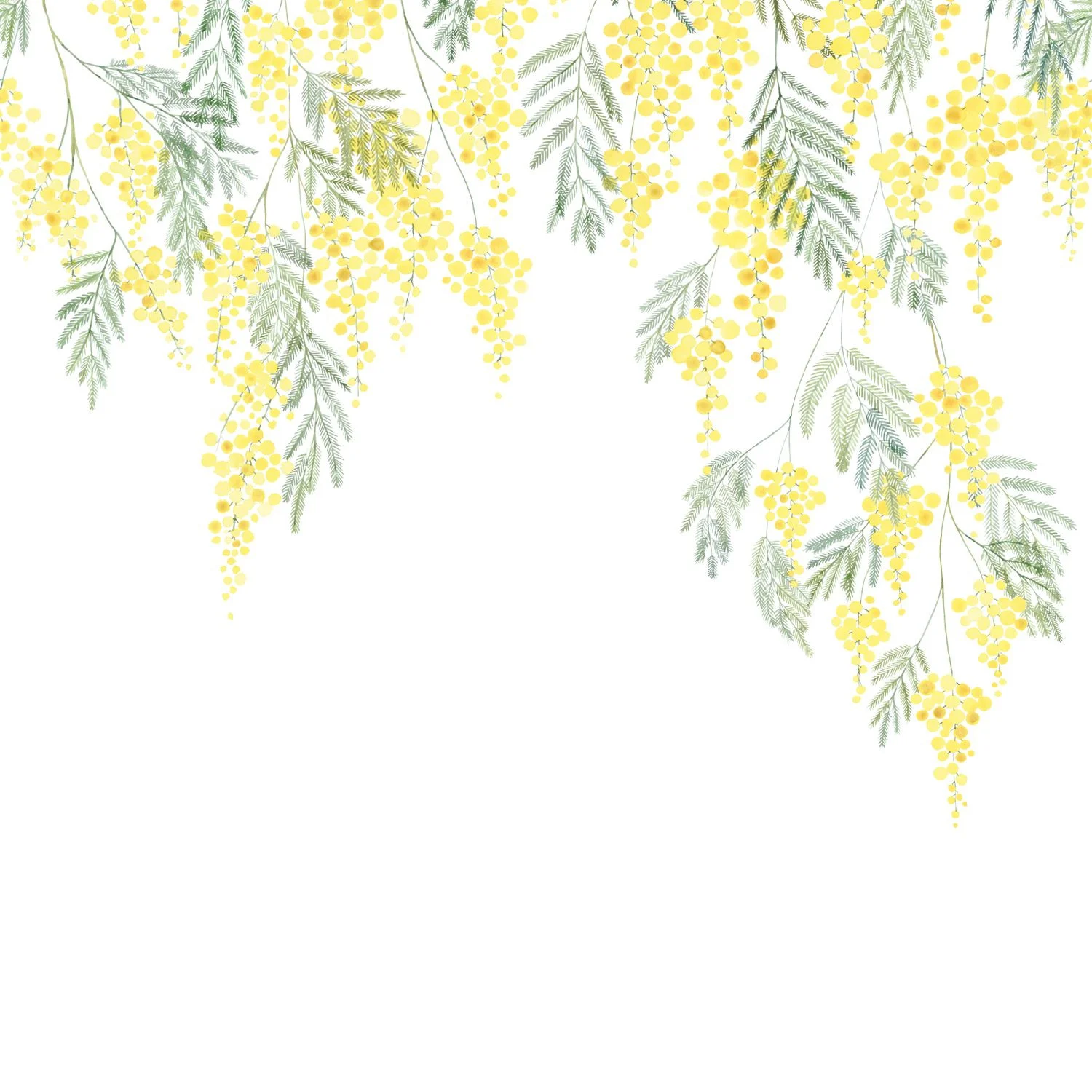 MIMOSA Casadeco, WONDERWALLS