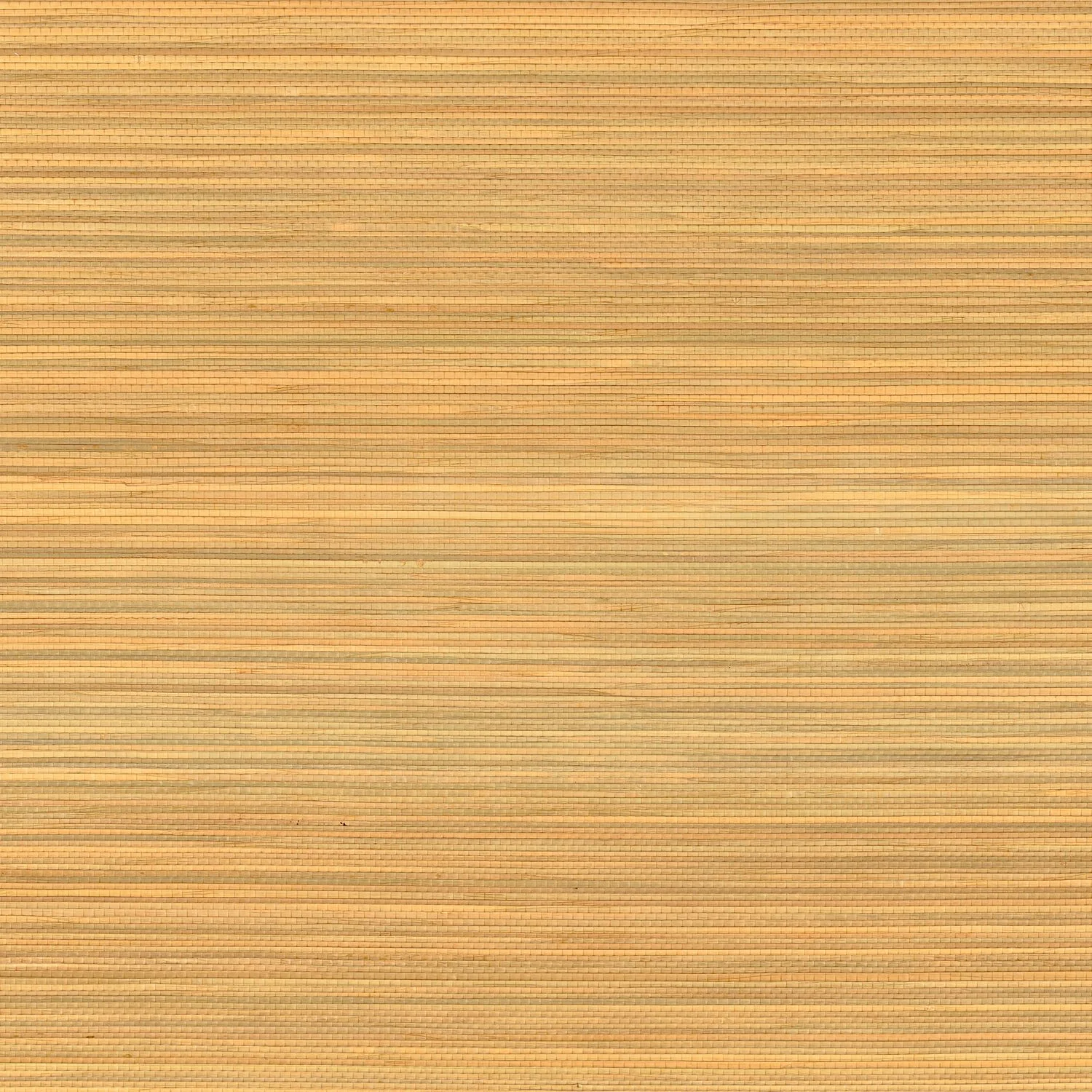 SEAGRASS Casamance, ALTERNATIVE
