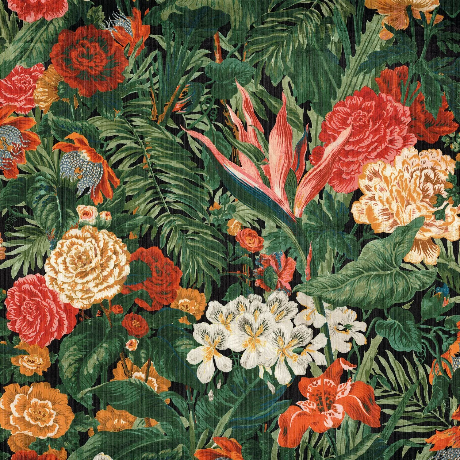 EGLANTYNE Casamance, BAGATELLE