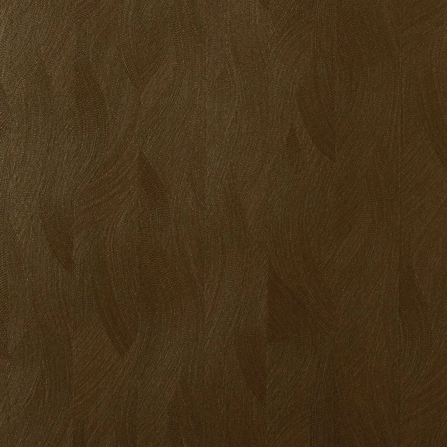 KASHMIR Casamance, ECRIN
