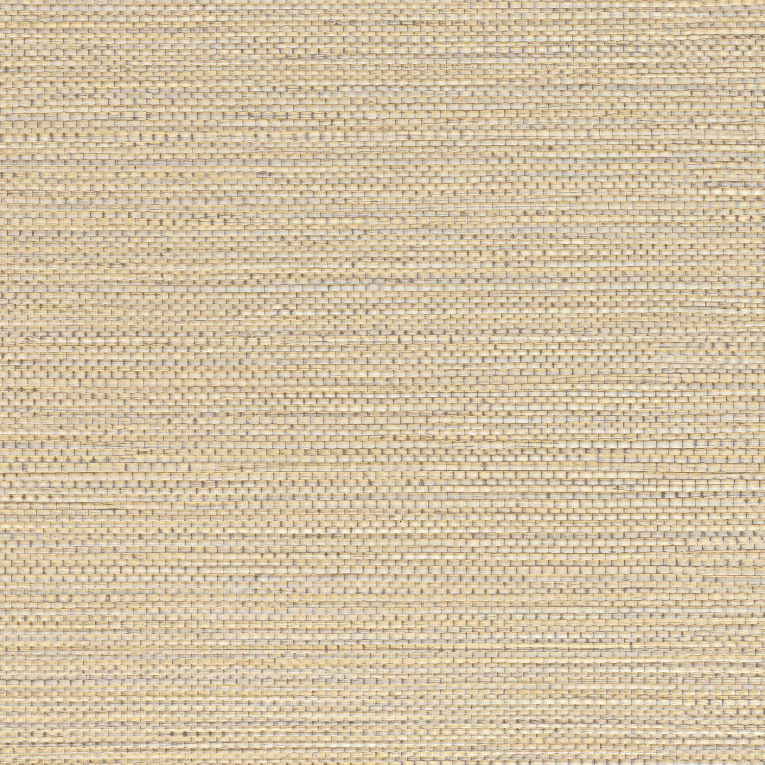 ZOSTERA Casamance, SELECT 8