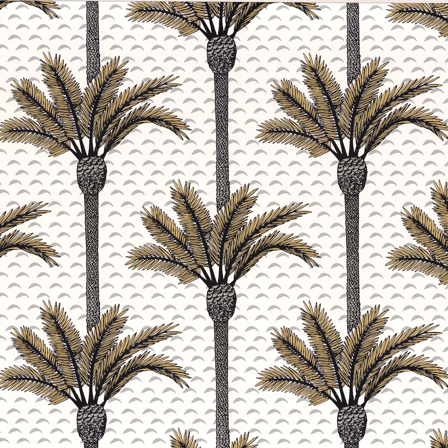 ATLAS Casamance, MIRAGE
