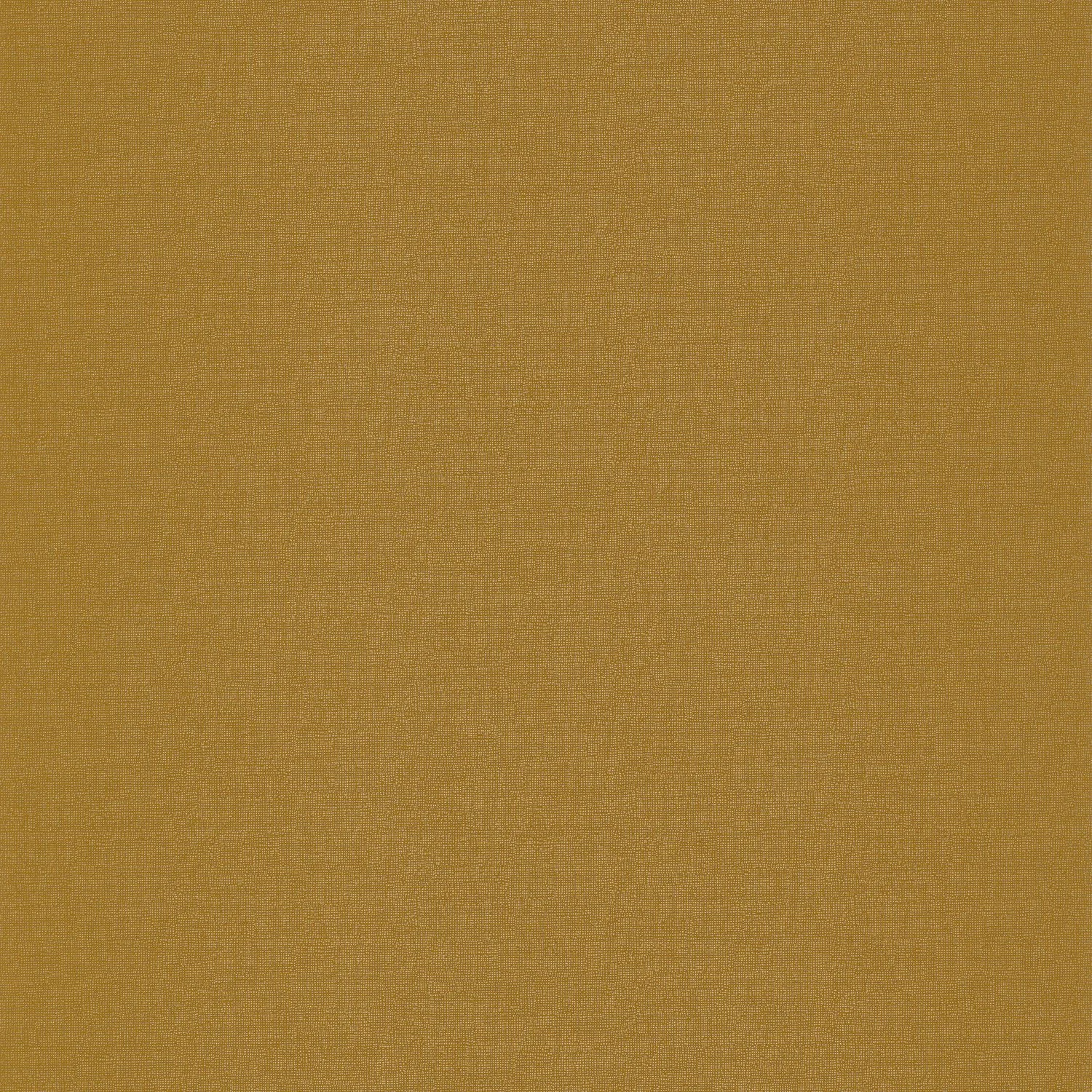 ALEPH Casamance, ORPHEE