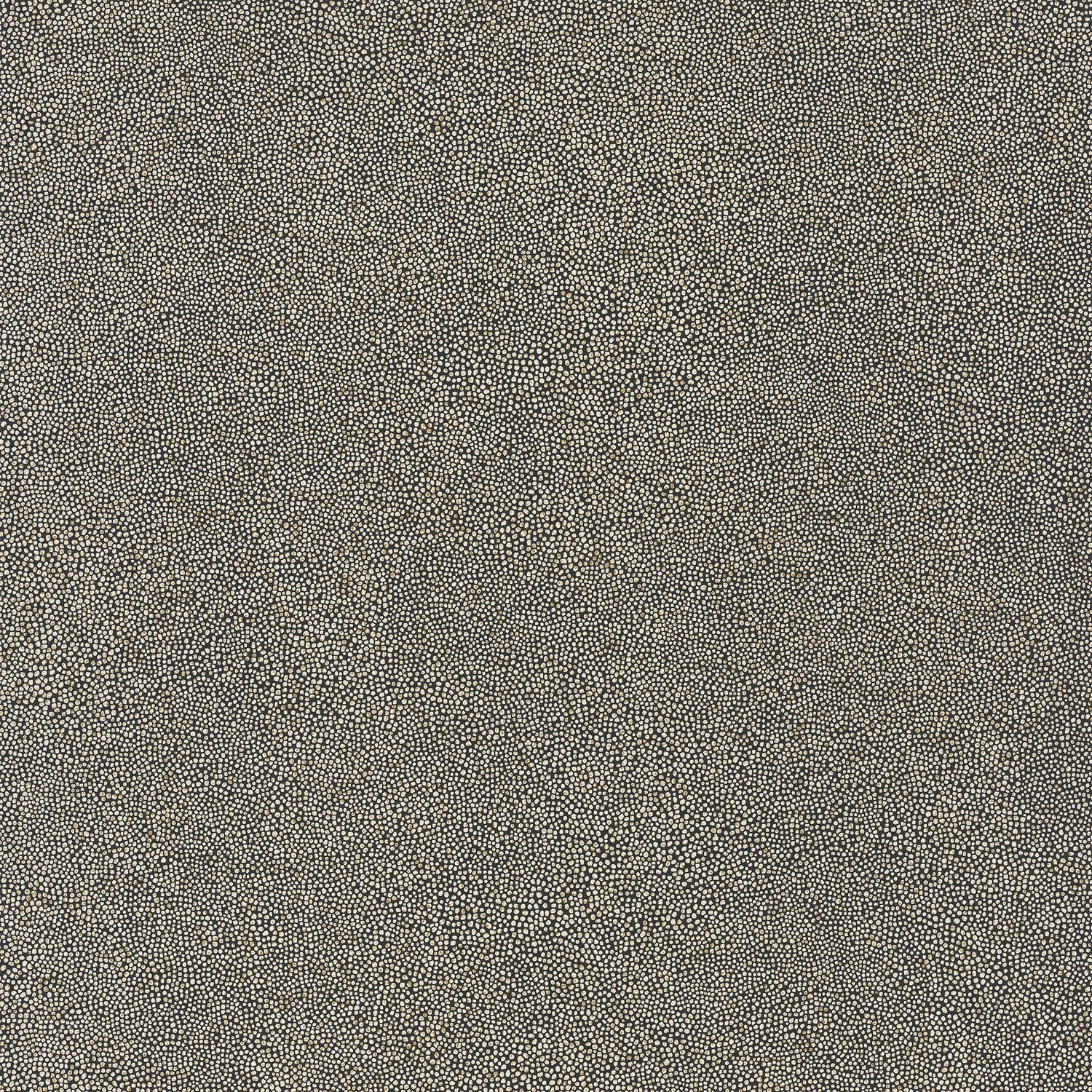 BOLINGER Casamance, ORPHEE