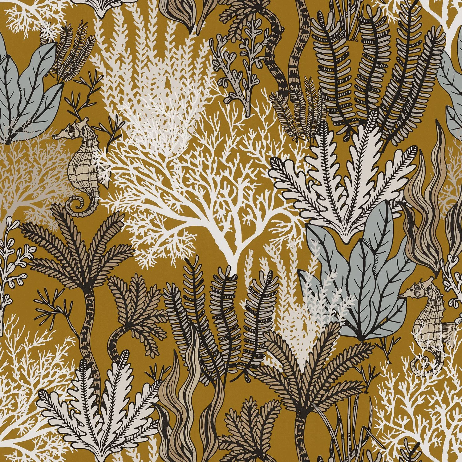 POSIDONIE Casamance, ORPHEE