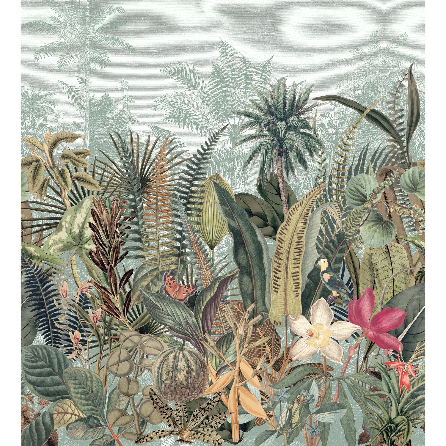 DAINTREE Casamance, PANORAMAS 2