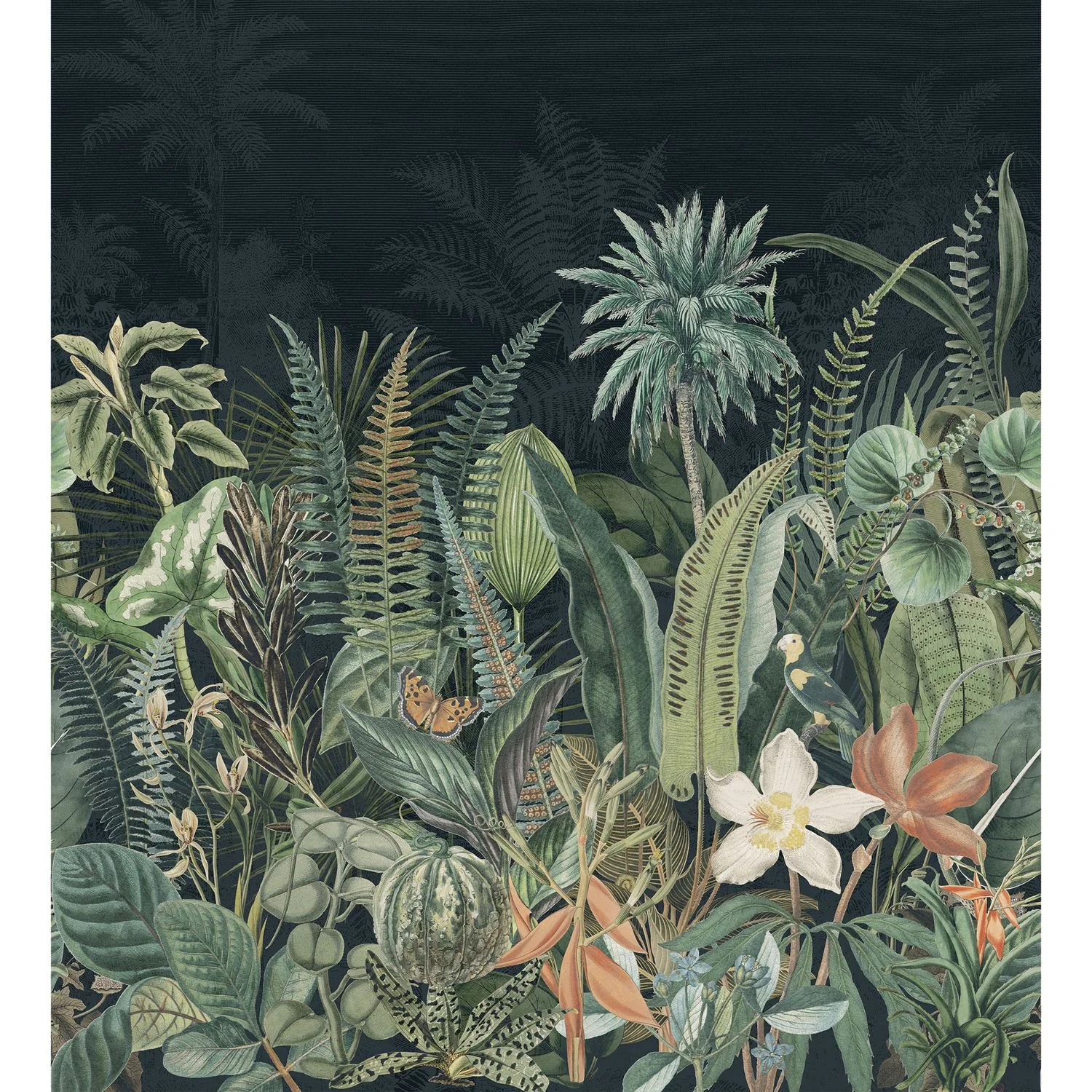 DAINTREE — изображение товара 2