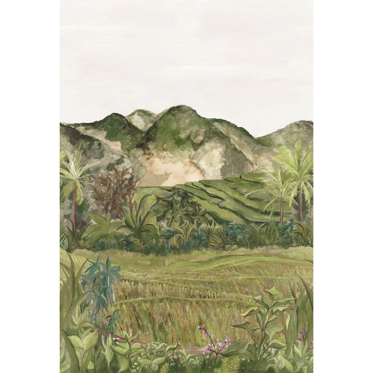 HAPAO Casamance, PANORAMAS 2