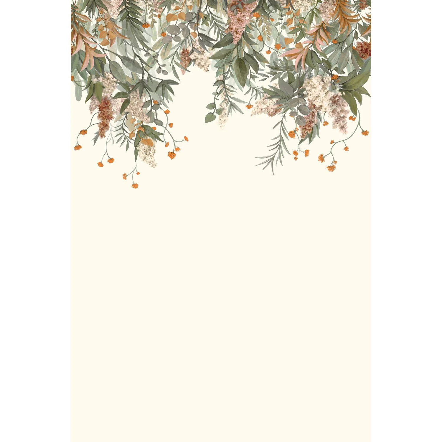 WISTERIA Casamance, PANORAMAS 4