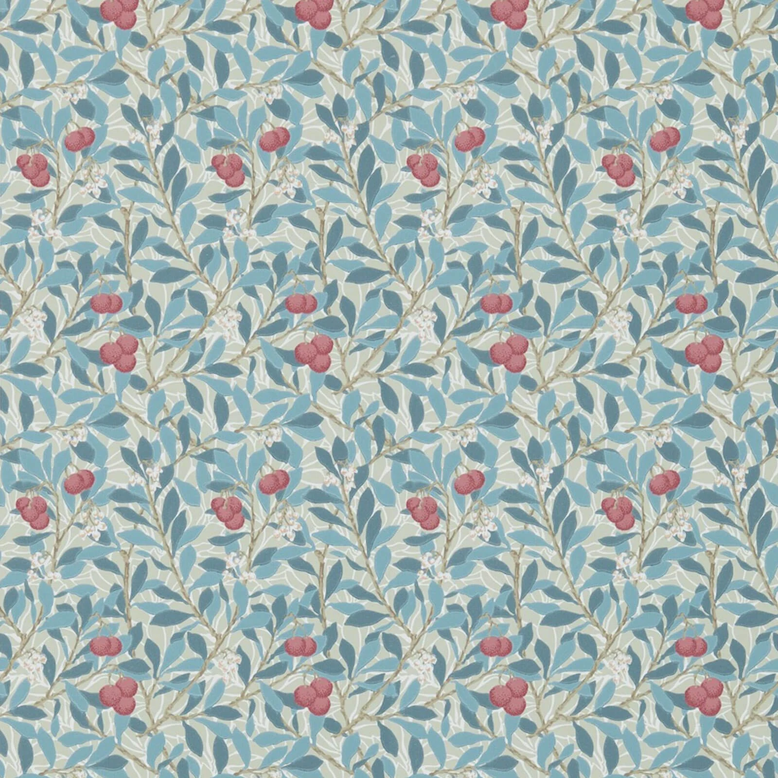 Arbutus Morris & Co.