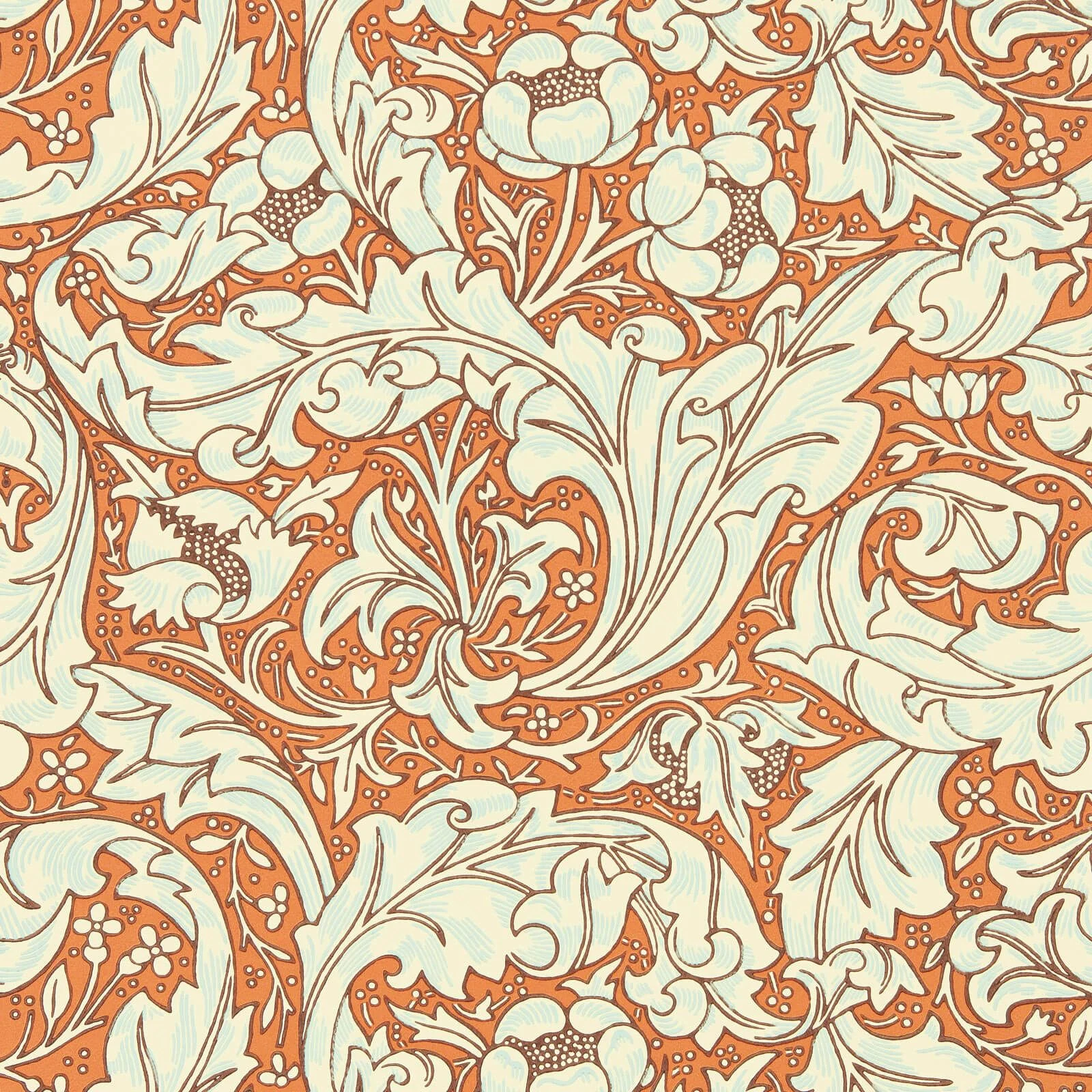 Bachelors Button Morris & Co.