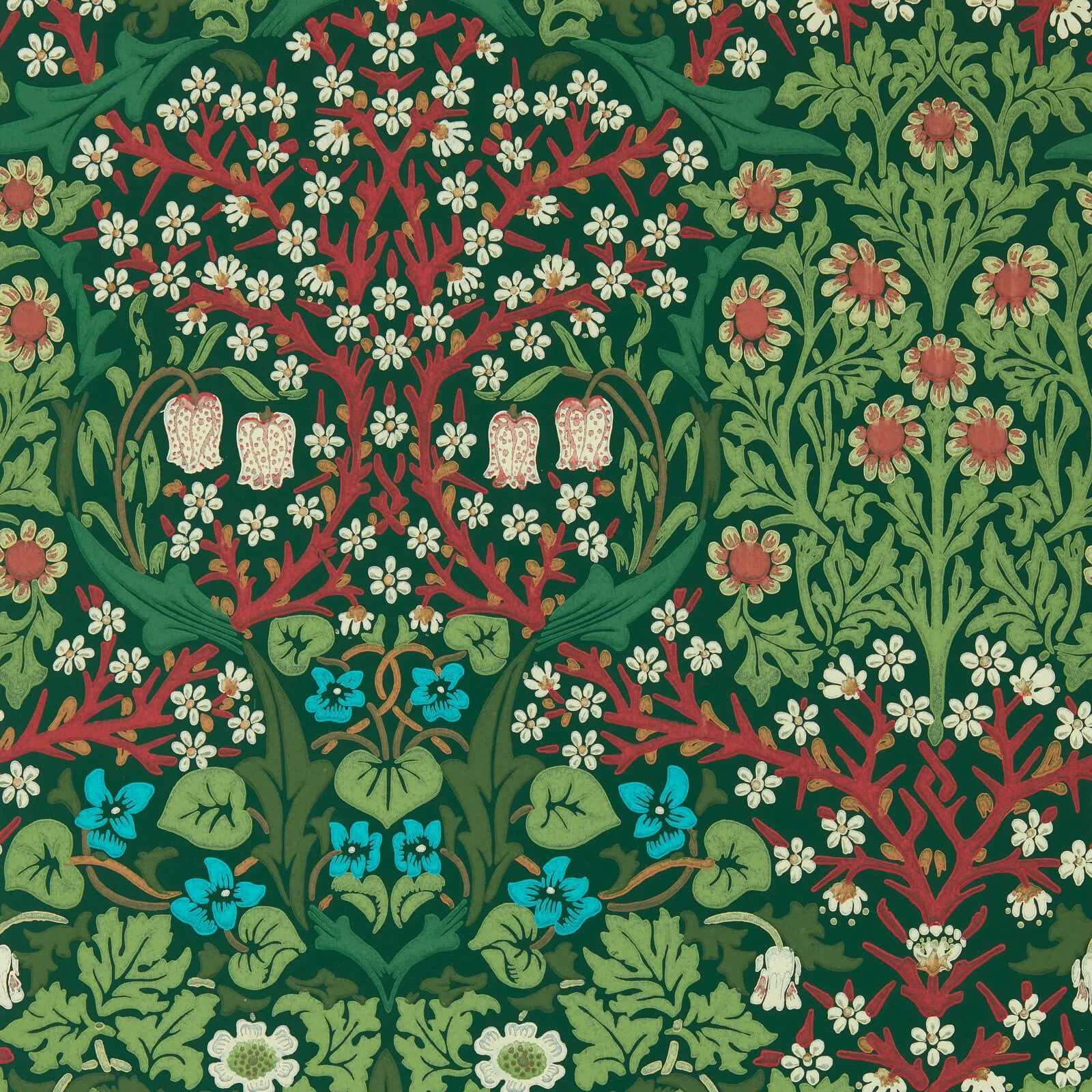 Blackthorn Morris & Co.