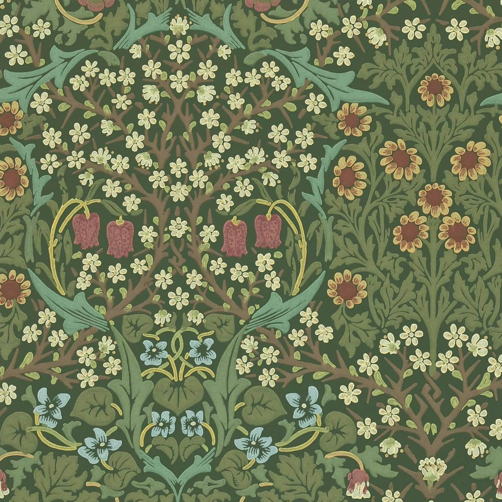 Blackthorn Morris & Co.