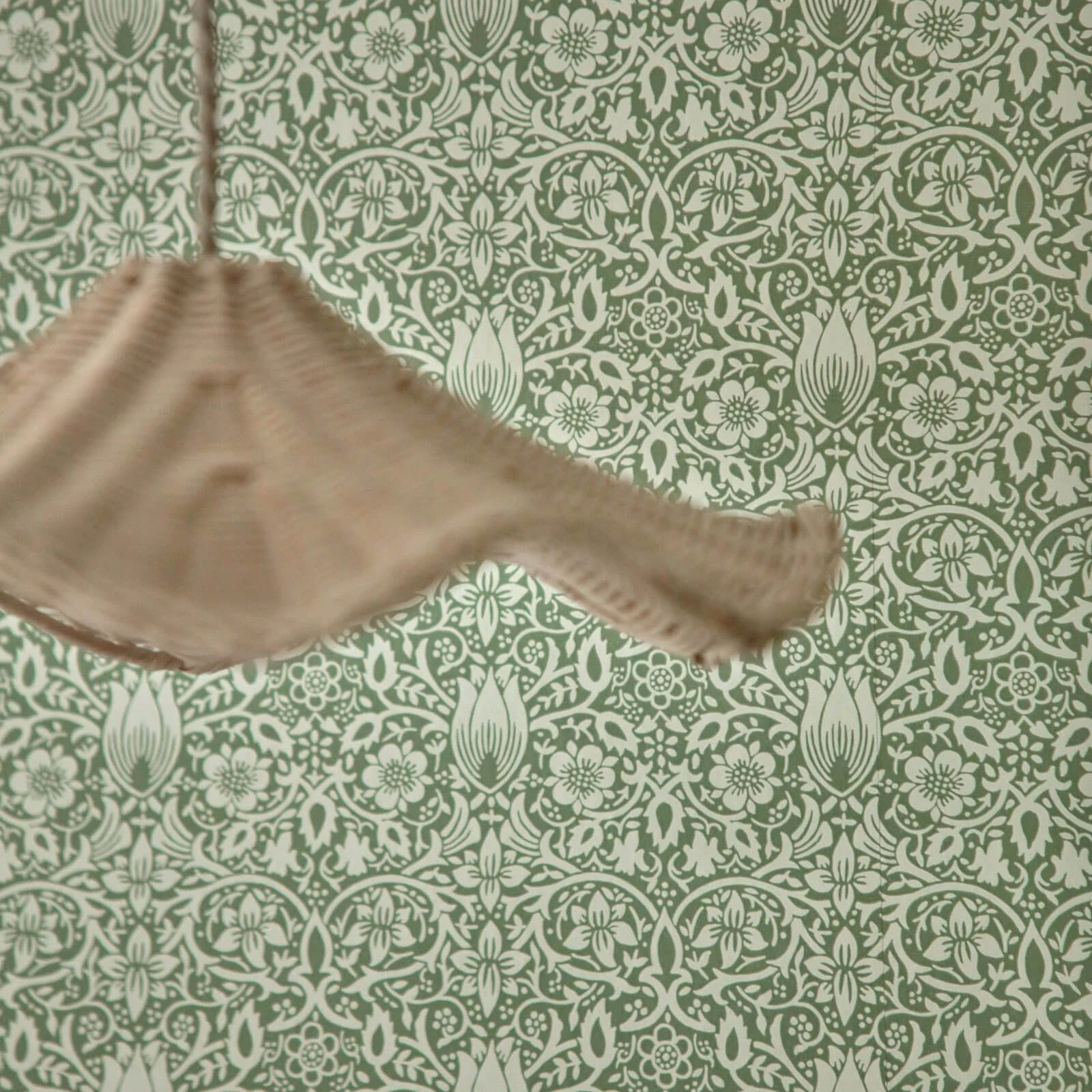 Morris & Co. Emery Walkers House Wallpapers — изображение 6