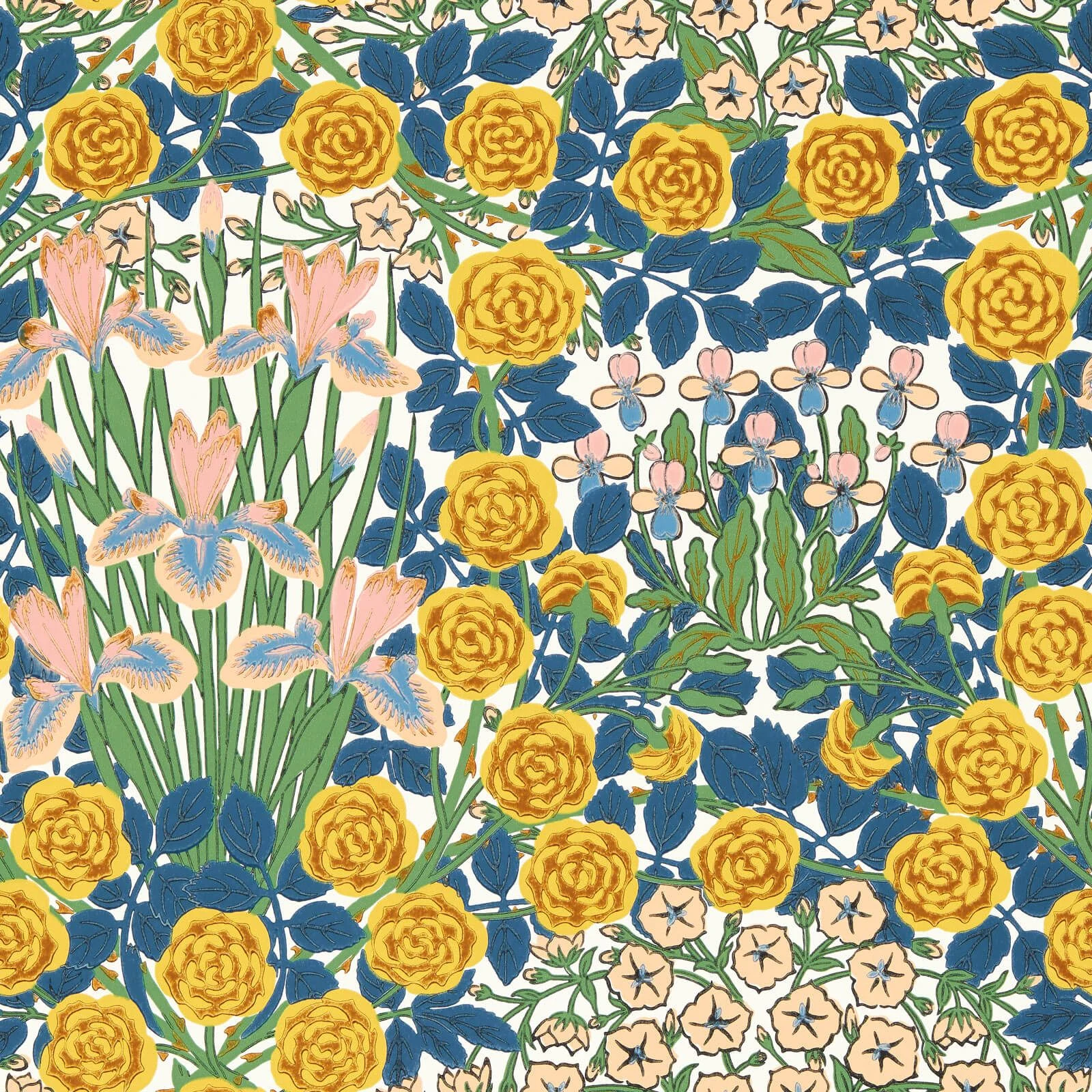Campanula Morris & Co.