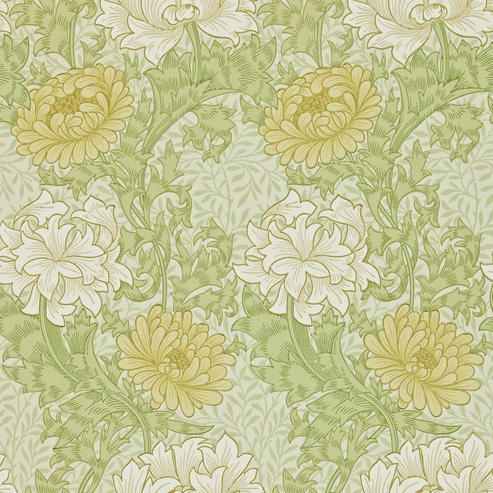 Chrysanthemum — изображение товара 5