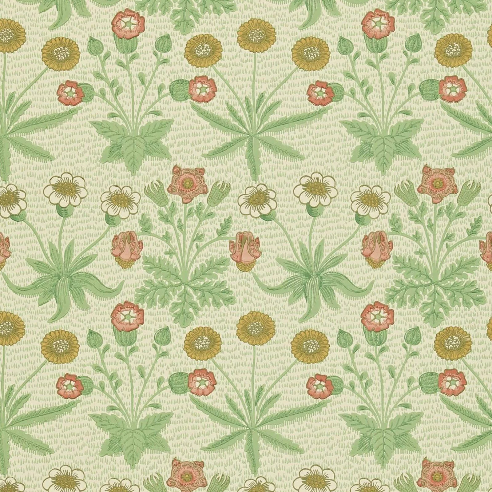 Daisy Morris & Co.