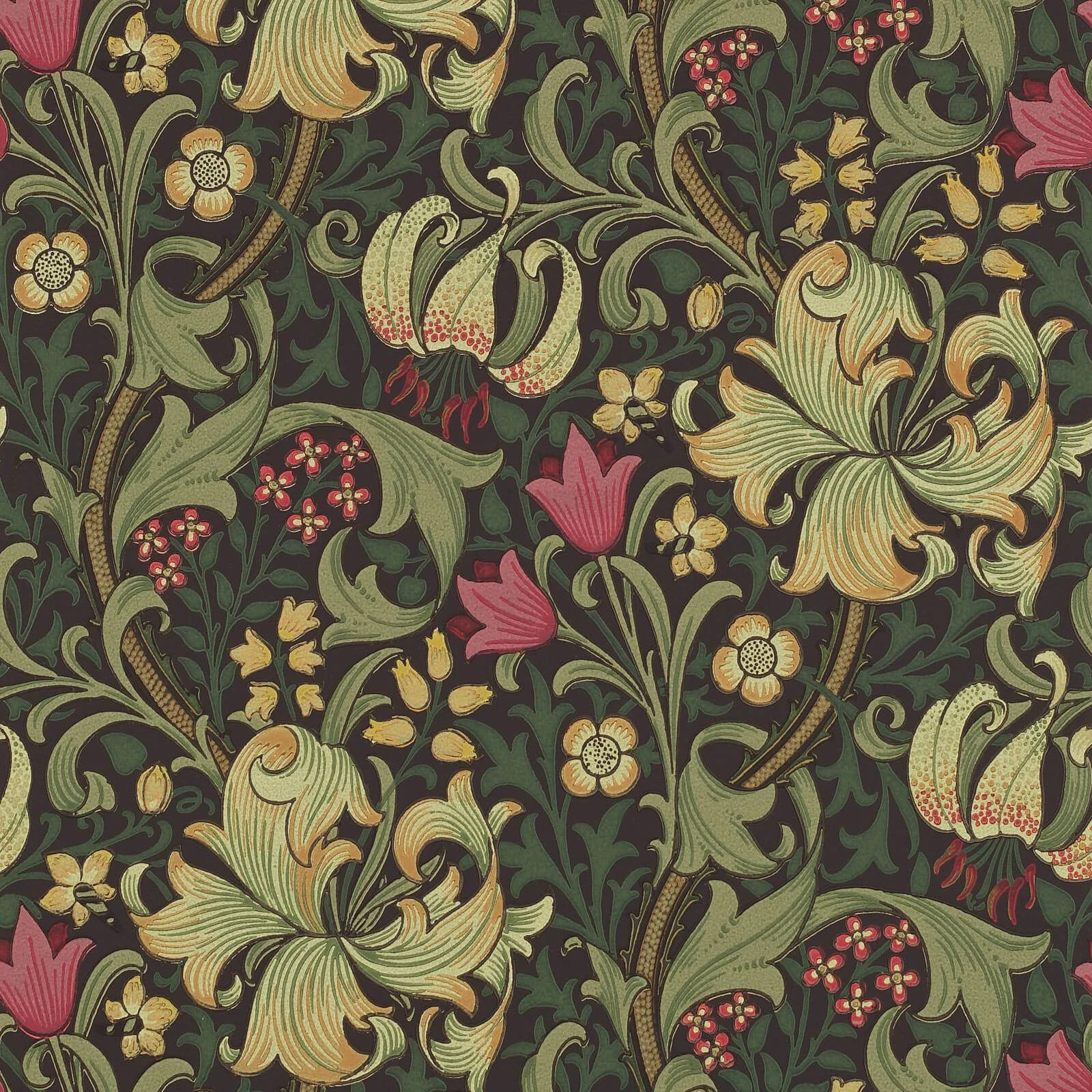 Golden Lily Morris & Co.
