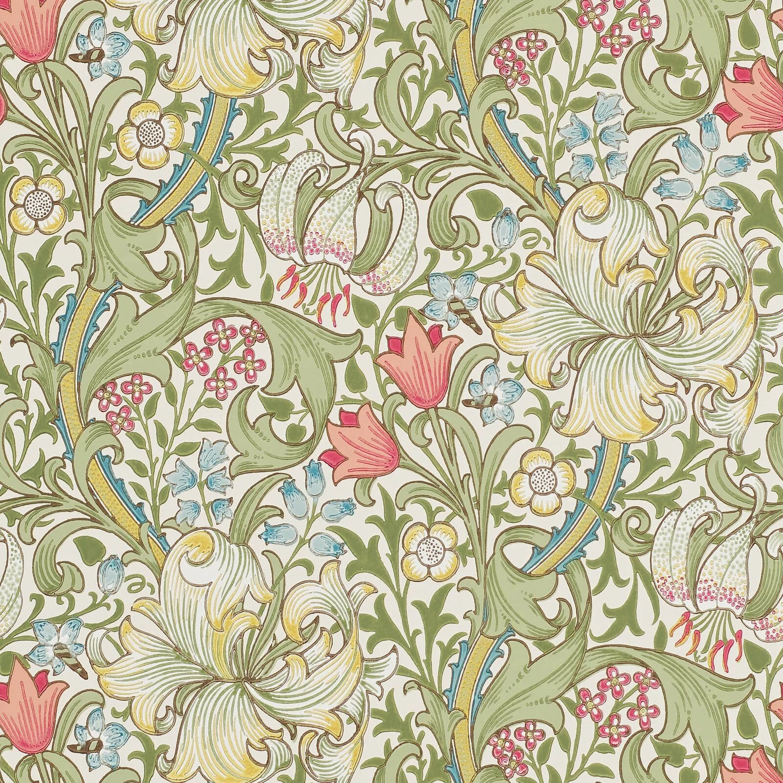 Golden Lily Morris & Co., Morris & Co