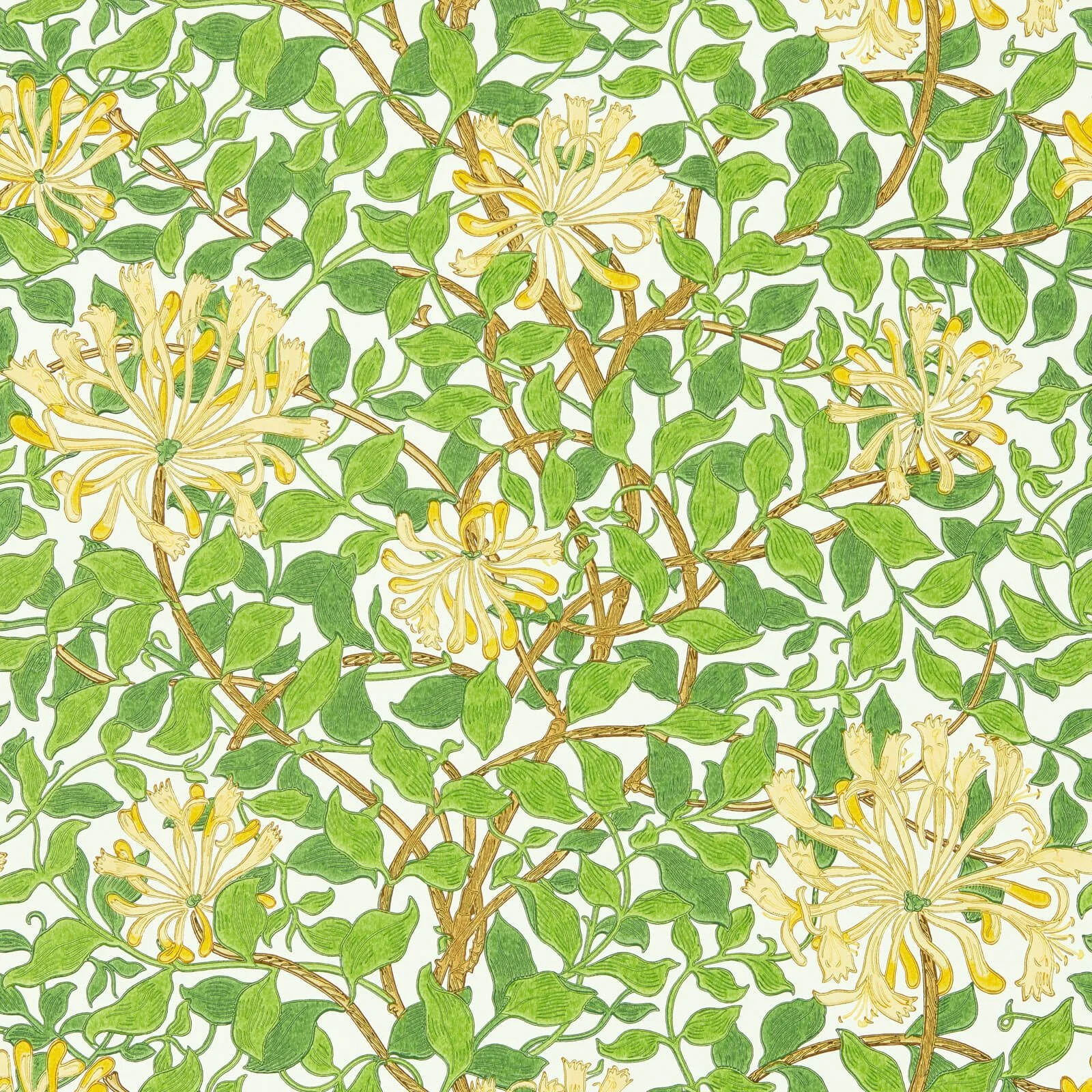 Honeysuckle Morris & Co.