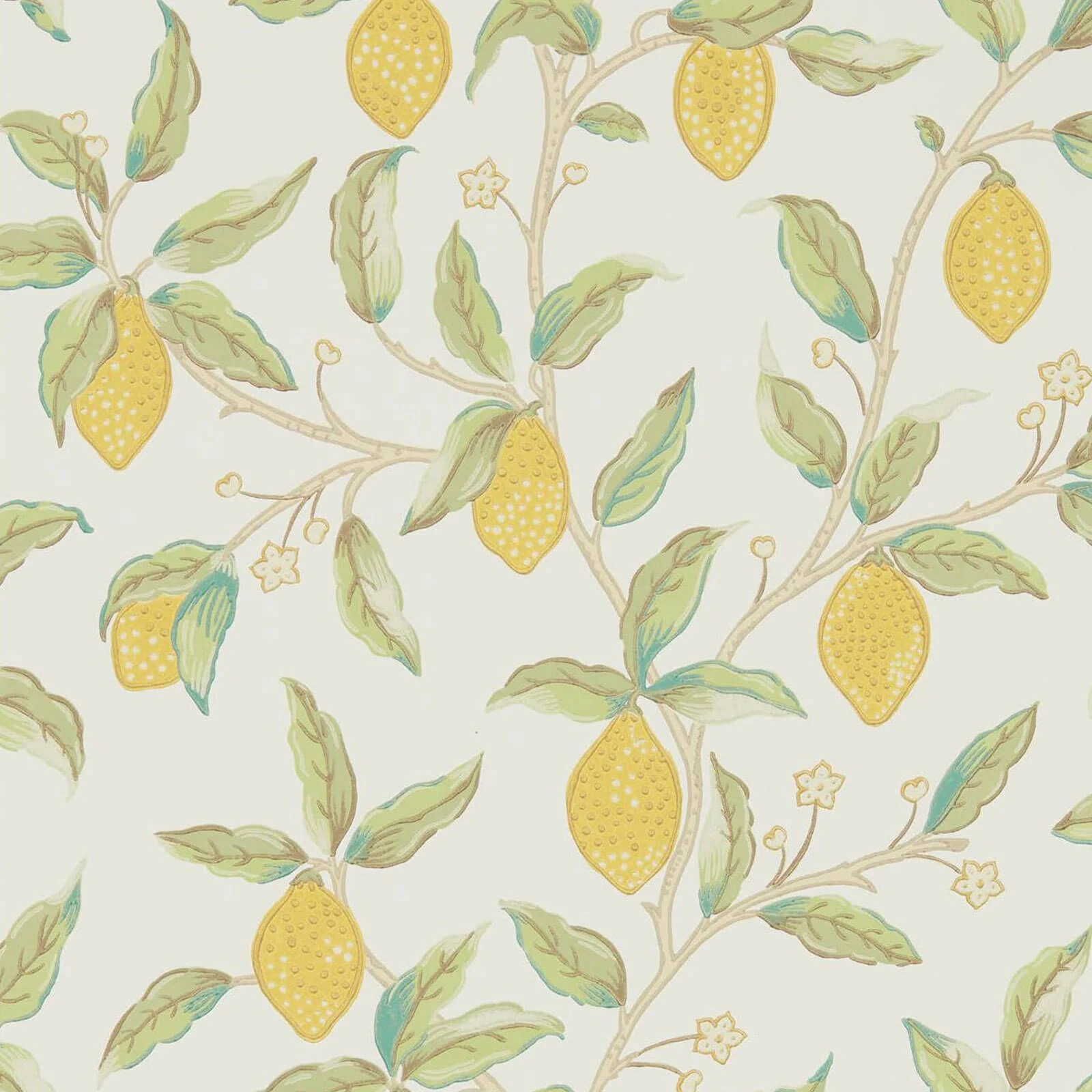 Lemon Tree Morris & Co.