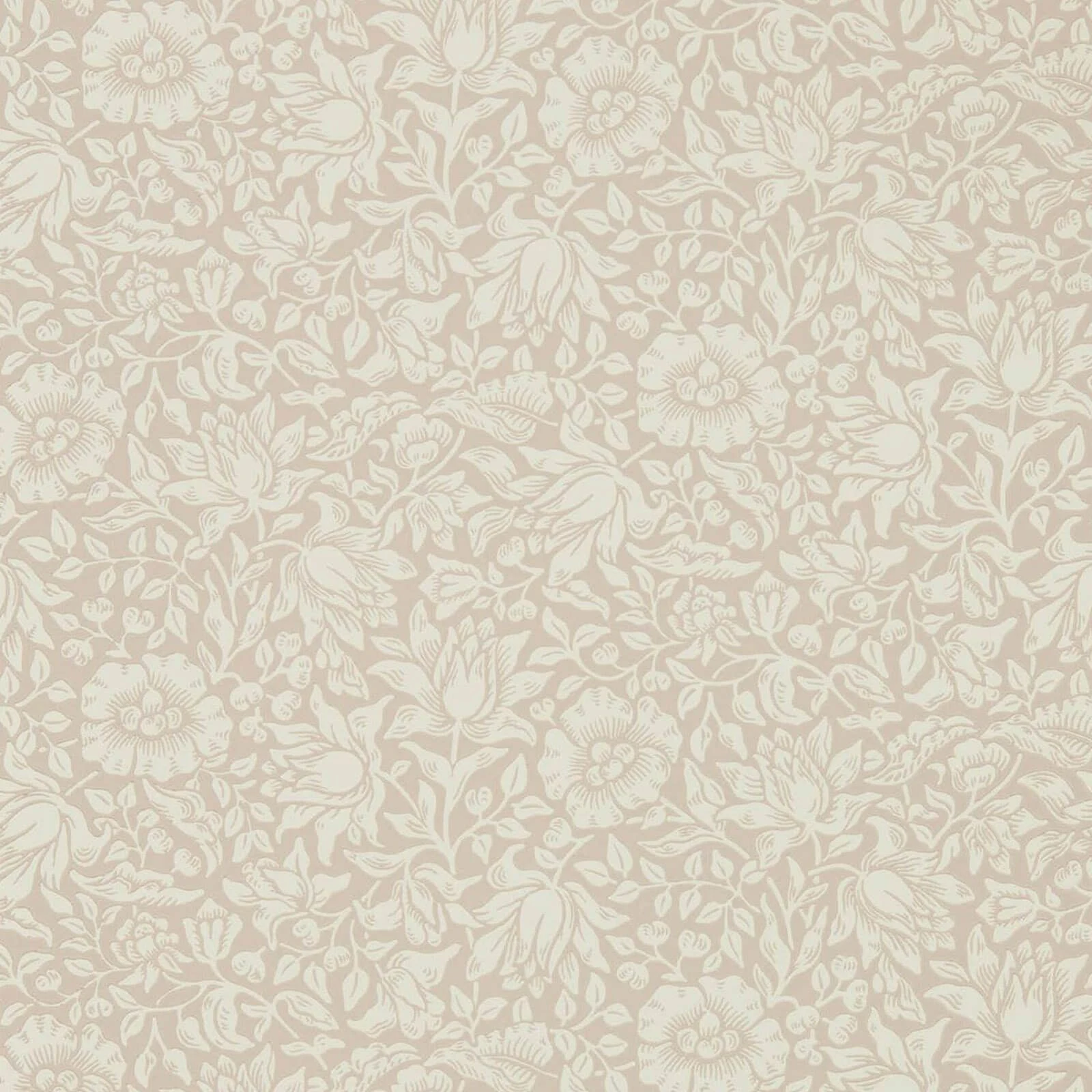 Mallow Morris & Co.