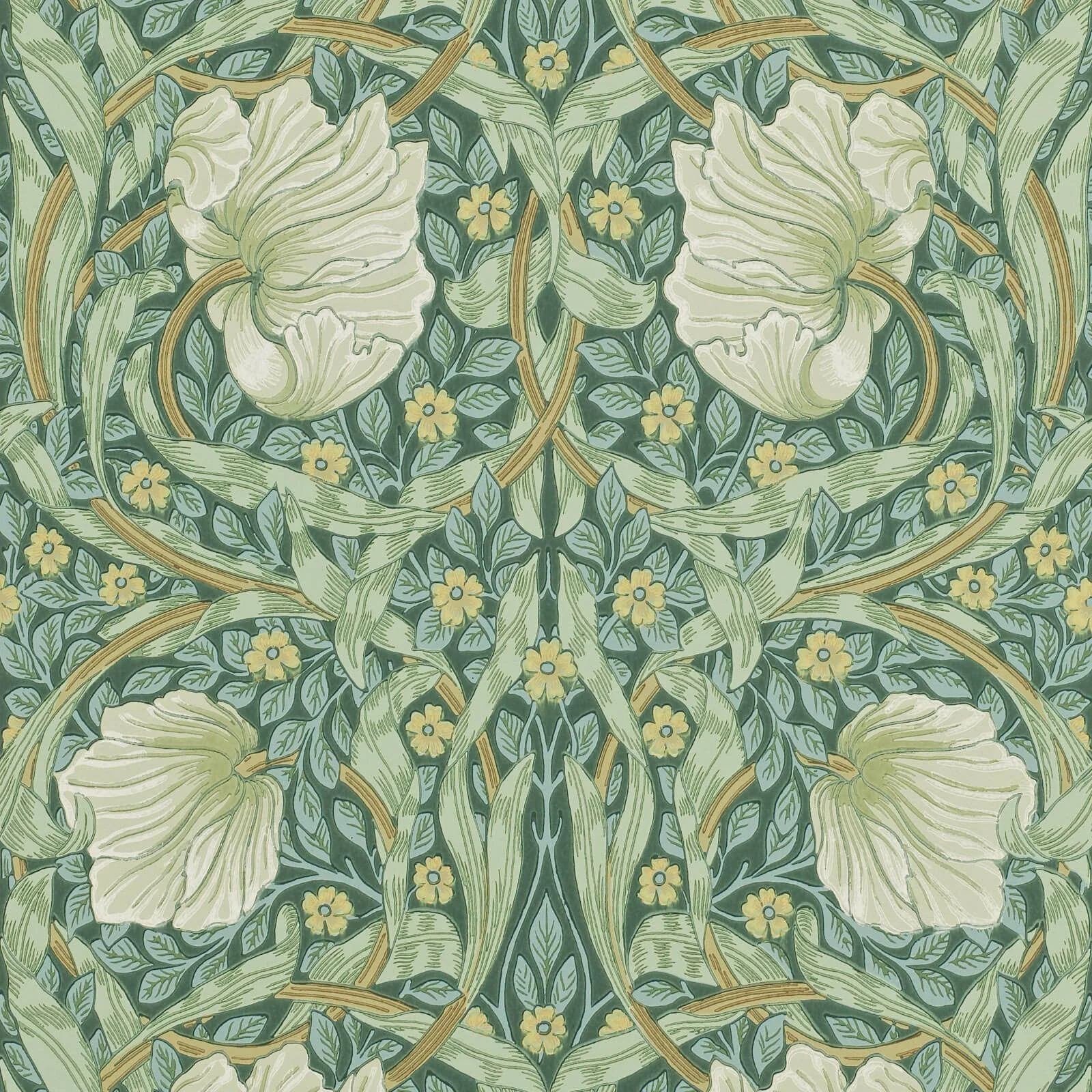 Pimpernel Morris & Co., Morris & Co