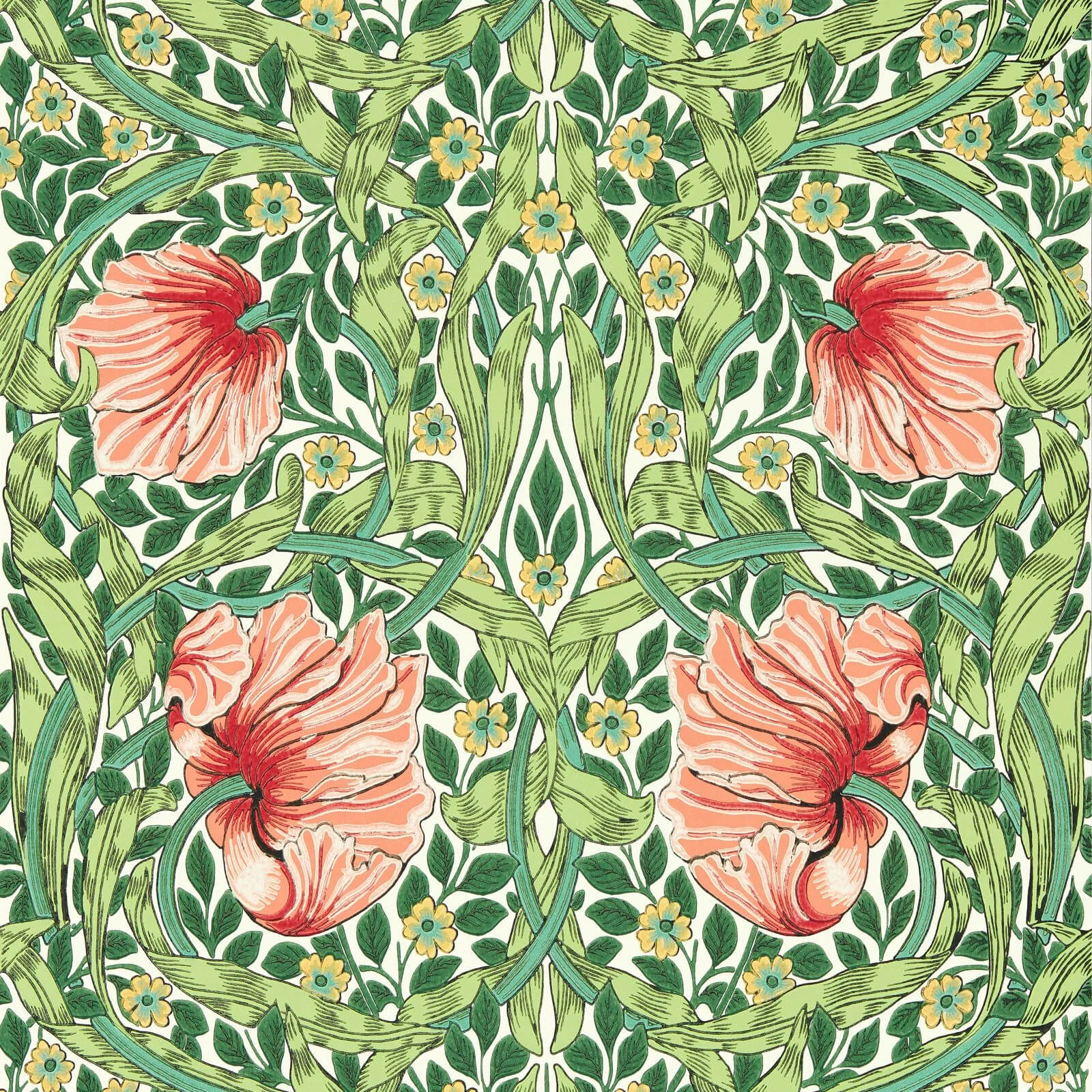 Pimpernel Morris & Co.