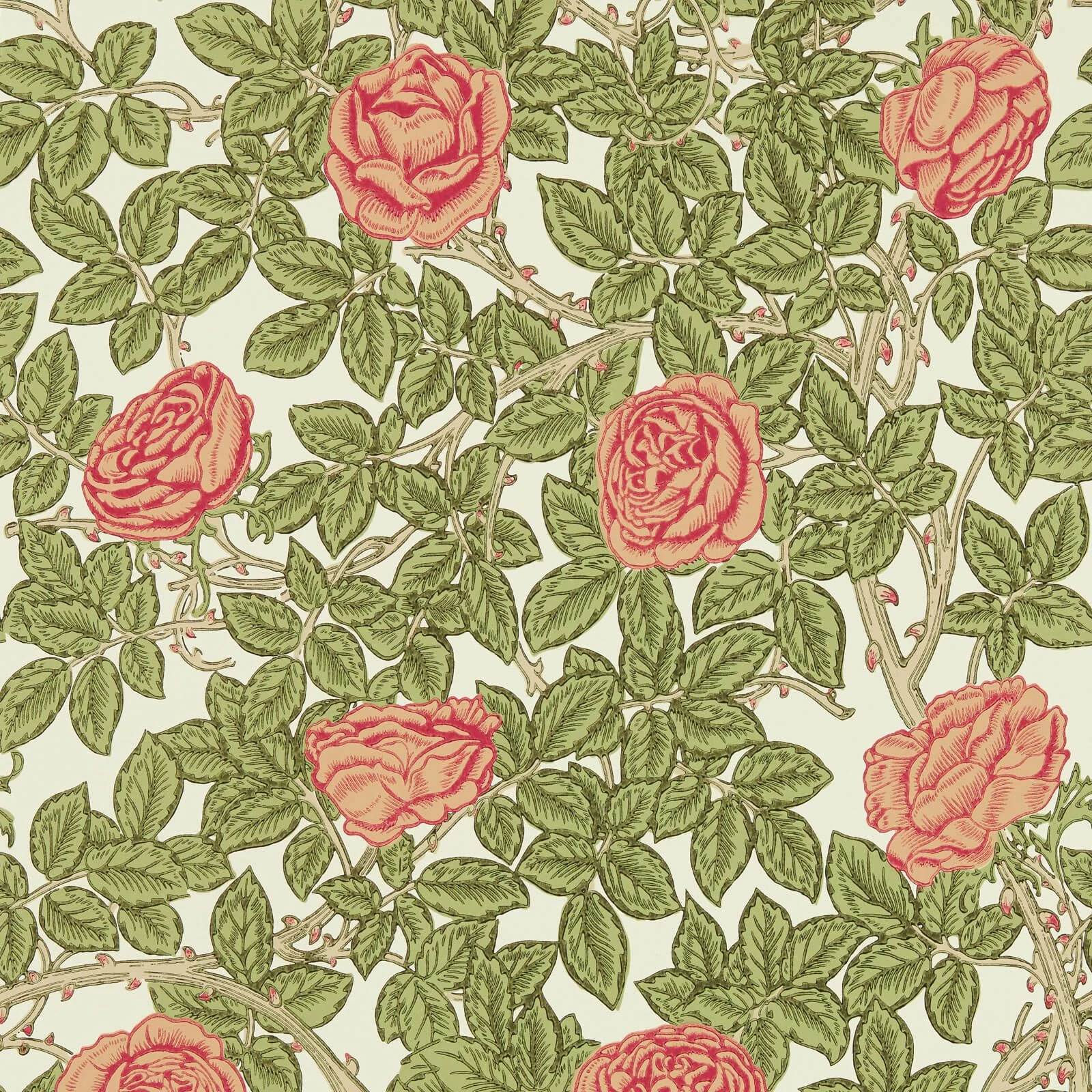 Rambling Rose Morris & Co.