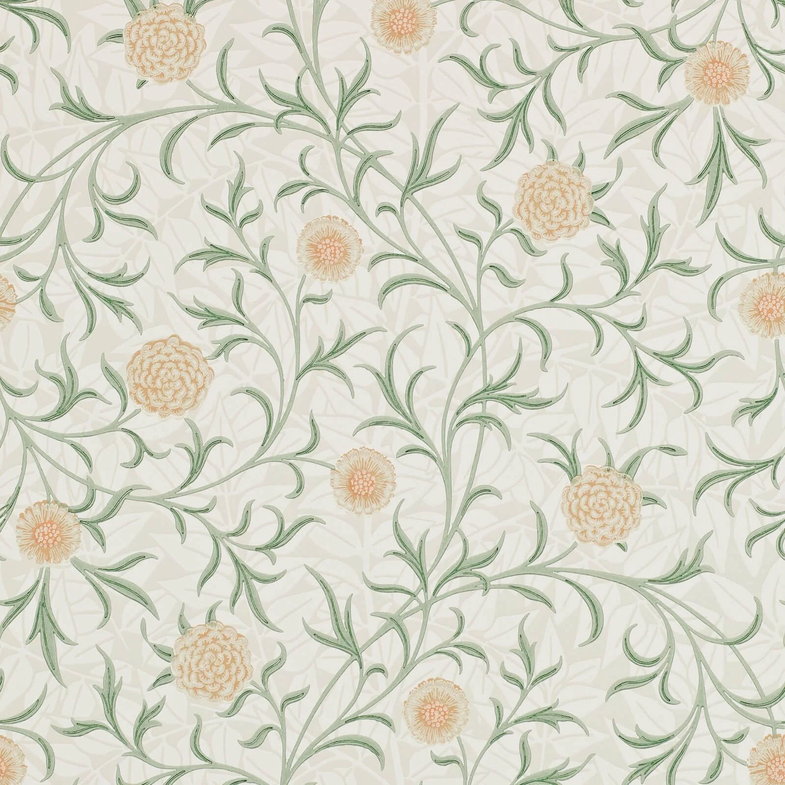 Scroll Morris & Co.